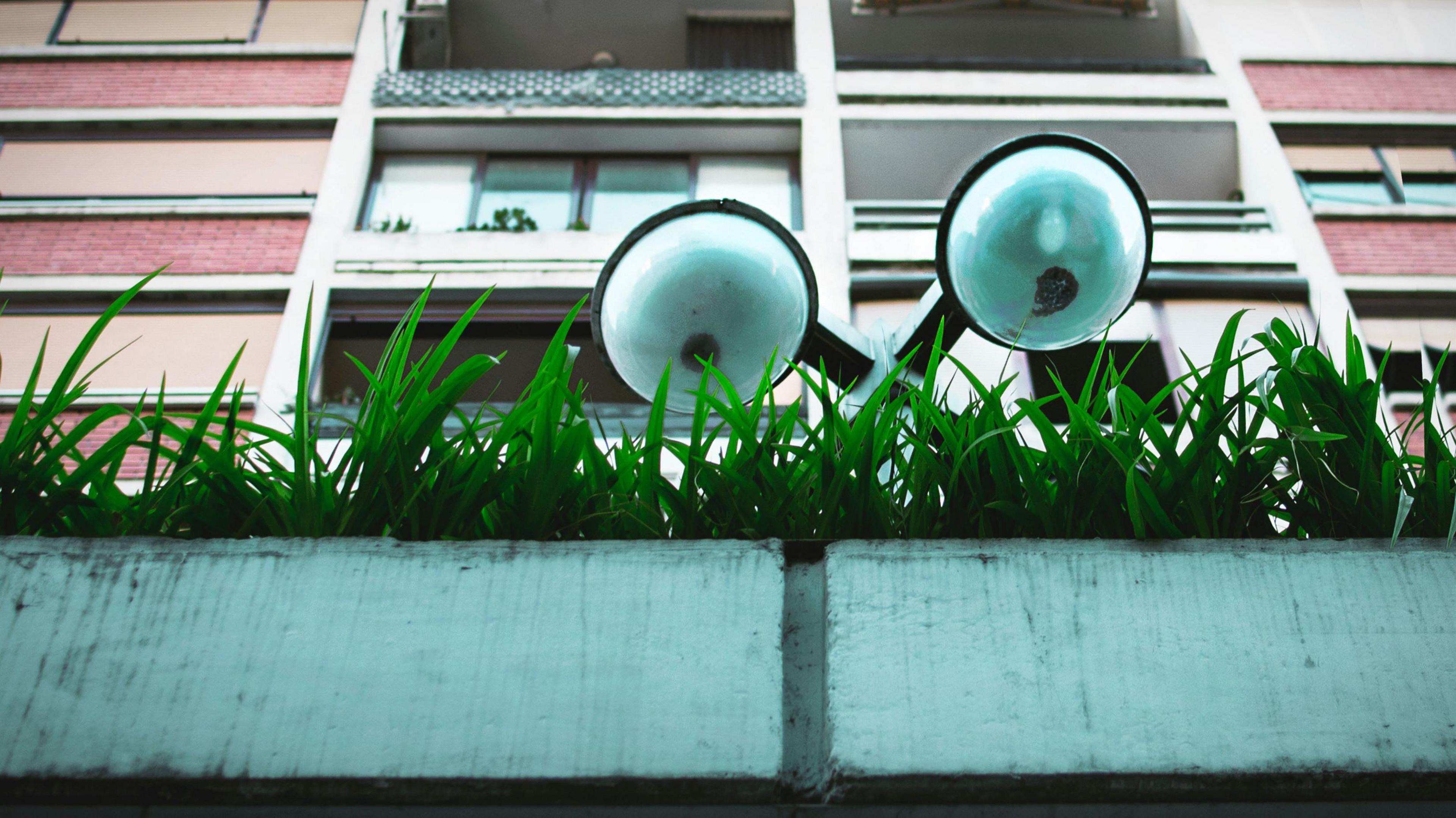 A block of flats in the background with grass in the foreground