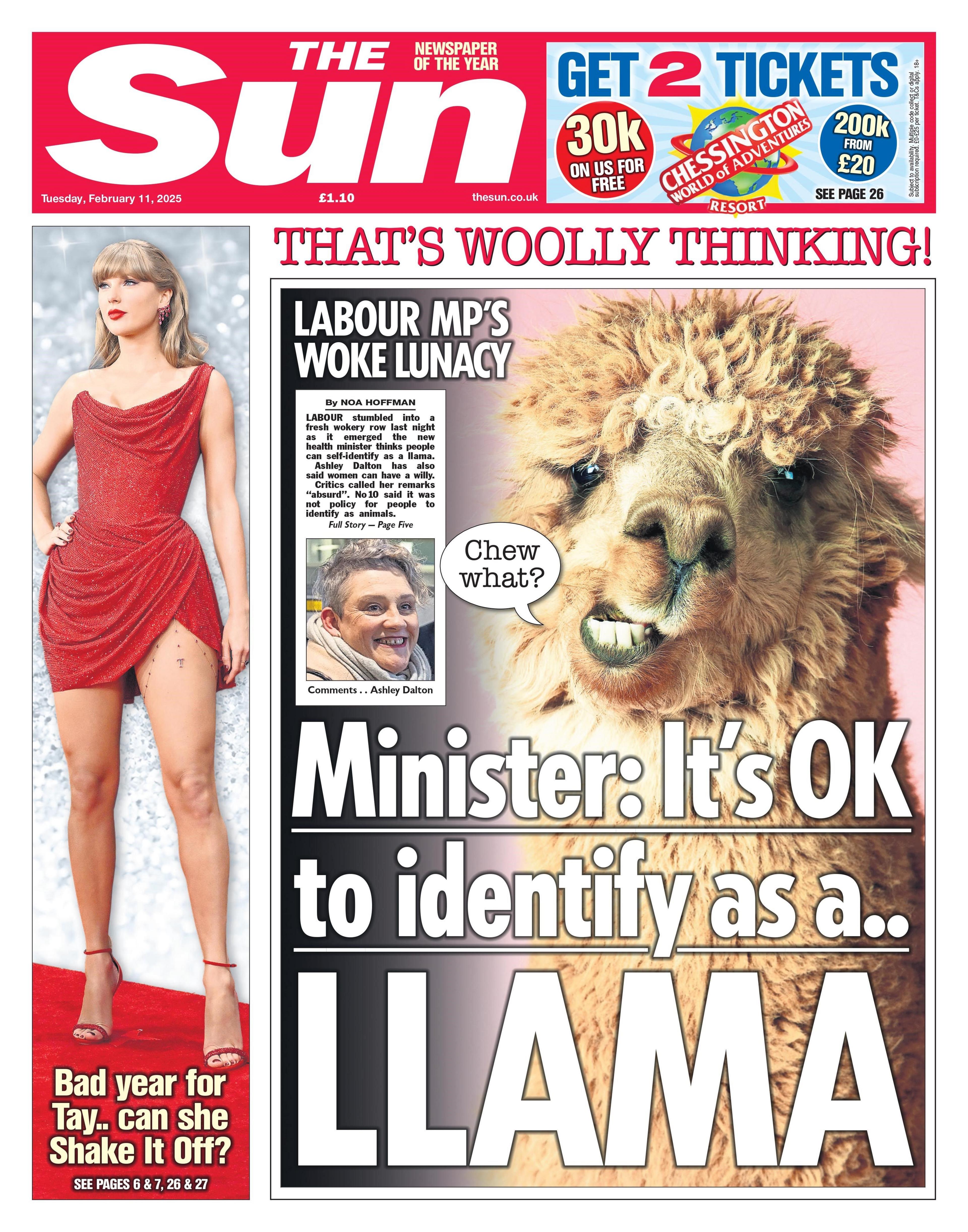 The Sun: it is okay for people to identify as a llama.