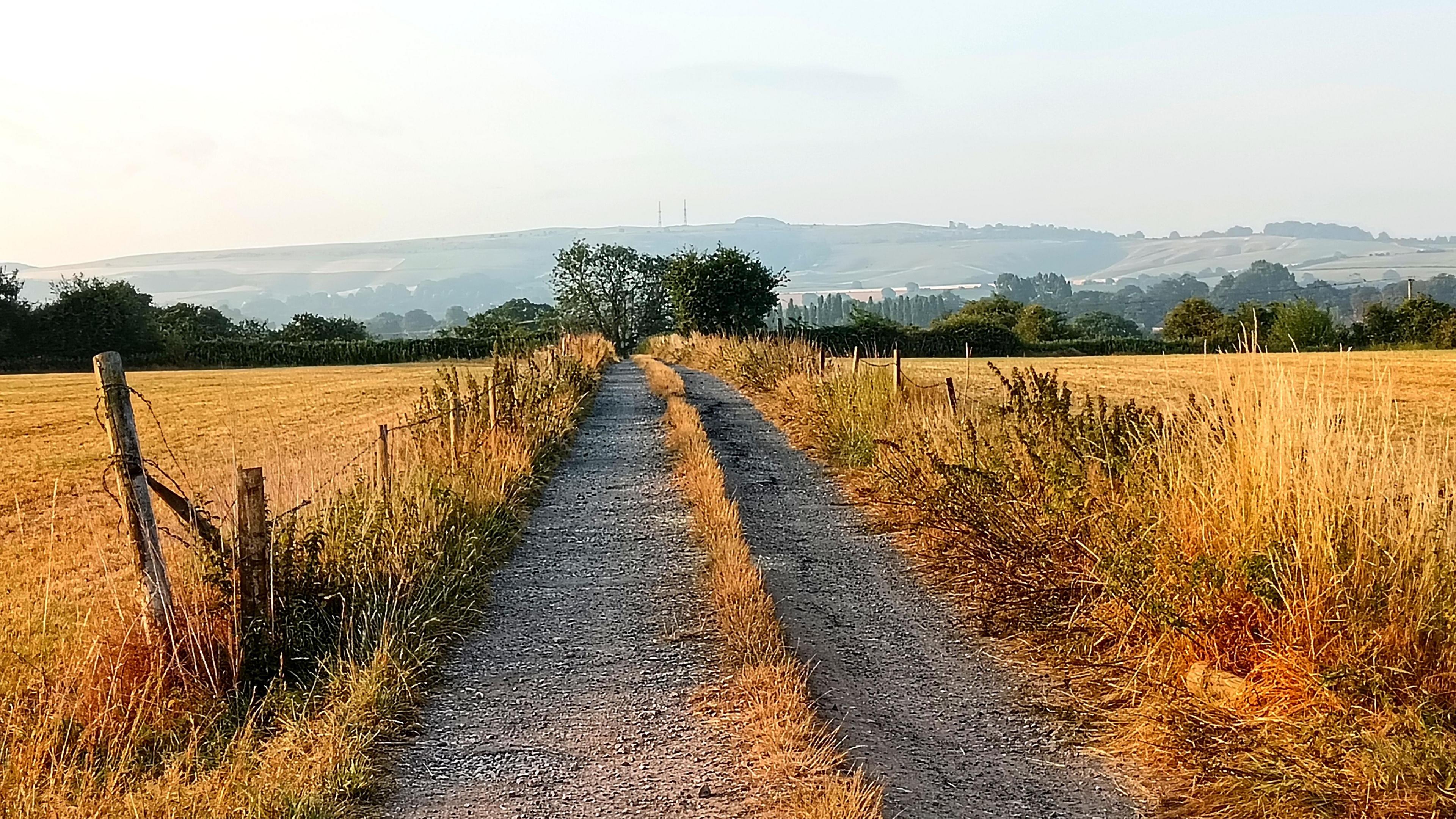 A gravel track with long grass on either side captured in the golden sunlight of an early morning. Fields are on either side of the pathway and are a rich yellow/orange in colour. Hills can be seen in the background.