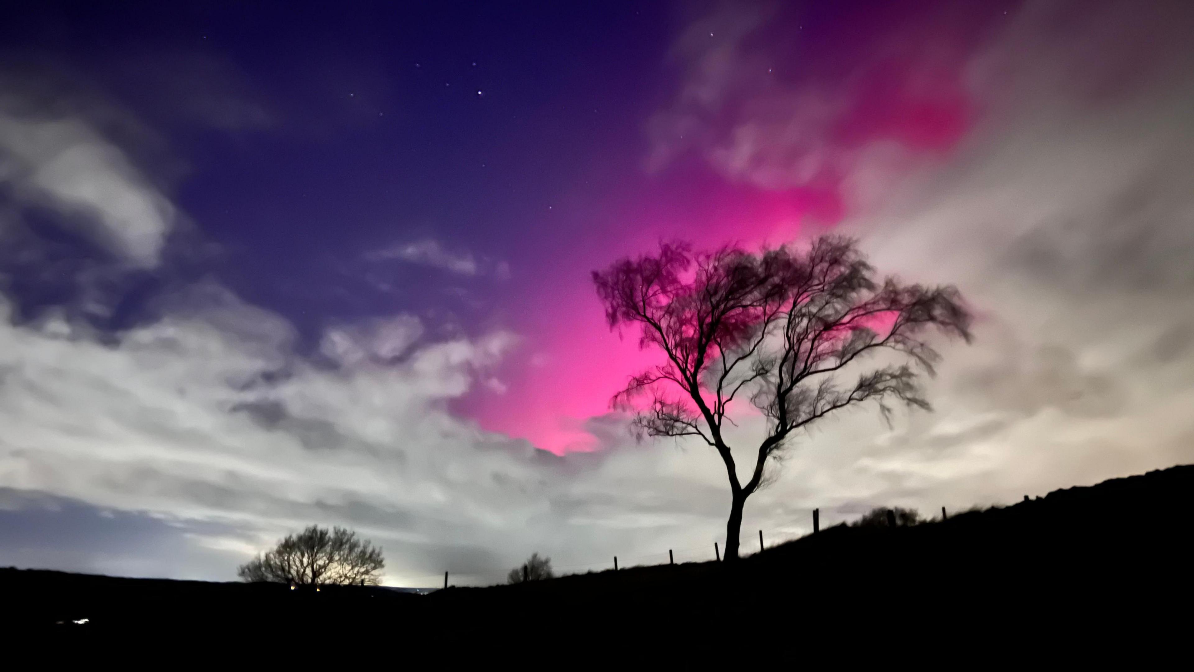 Pink northern lights display over Loughborough between two areas of thick cloud with a large tree in the foreground