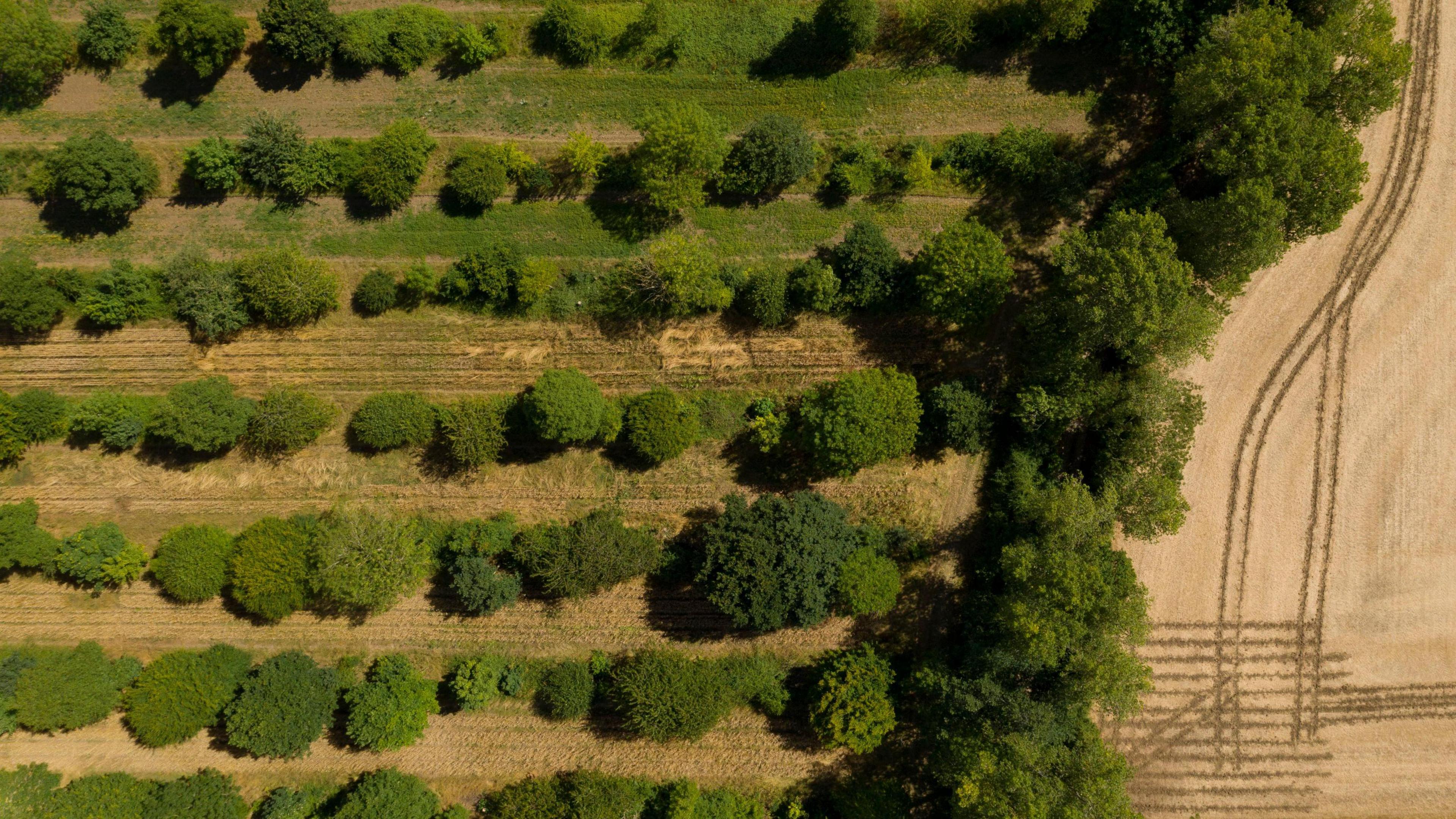 farmland in Suffolk.
