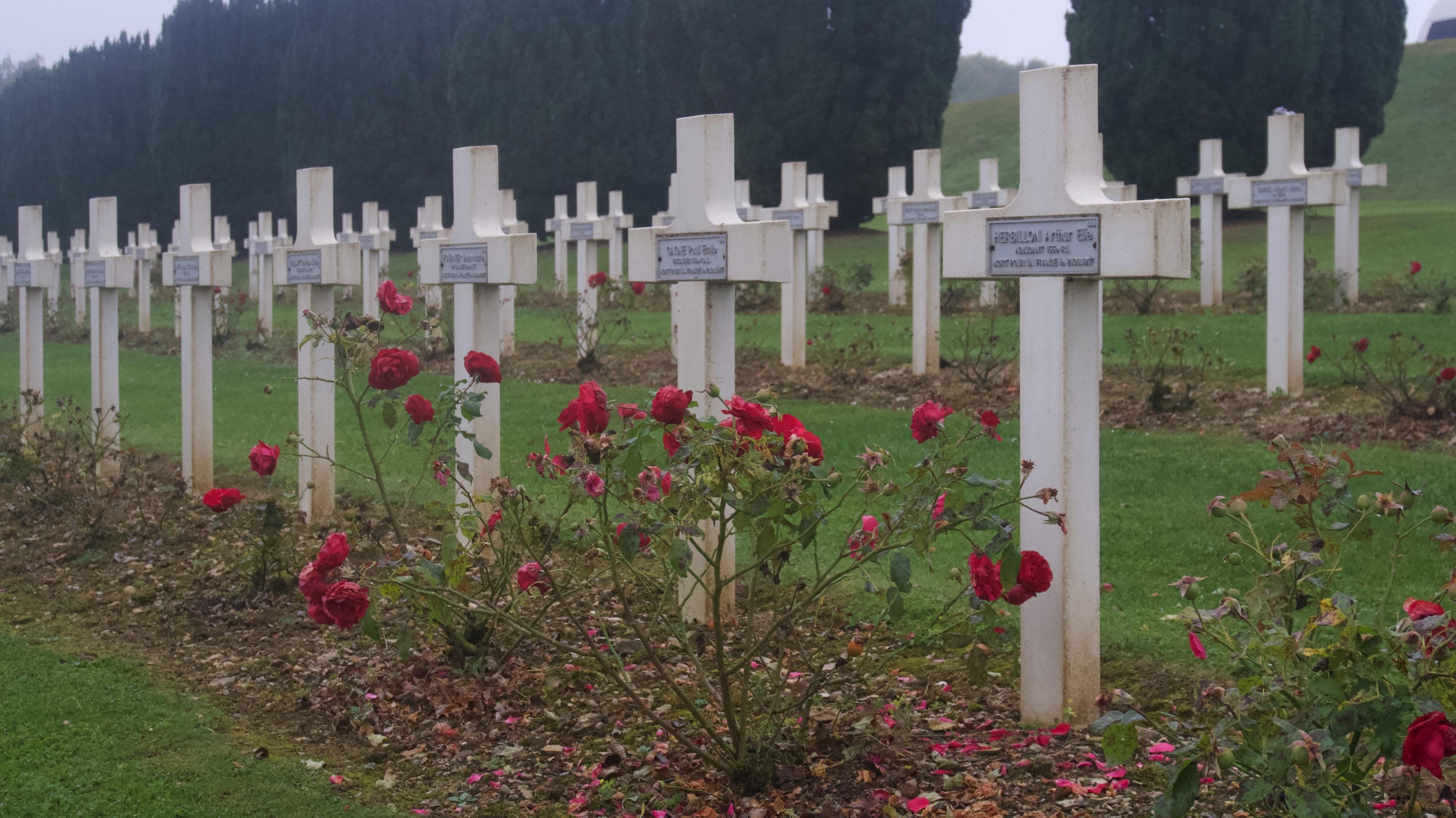 Grave crosses and roses at a French military cemetery