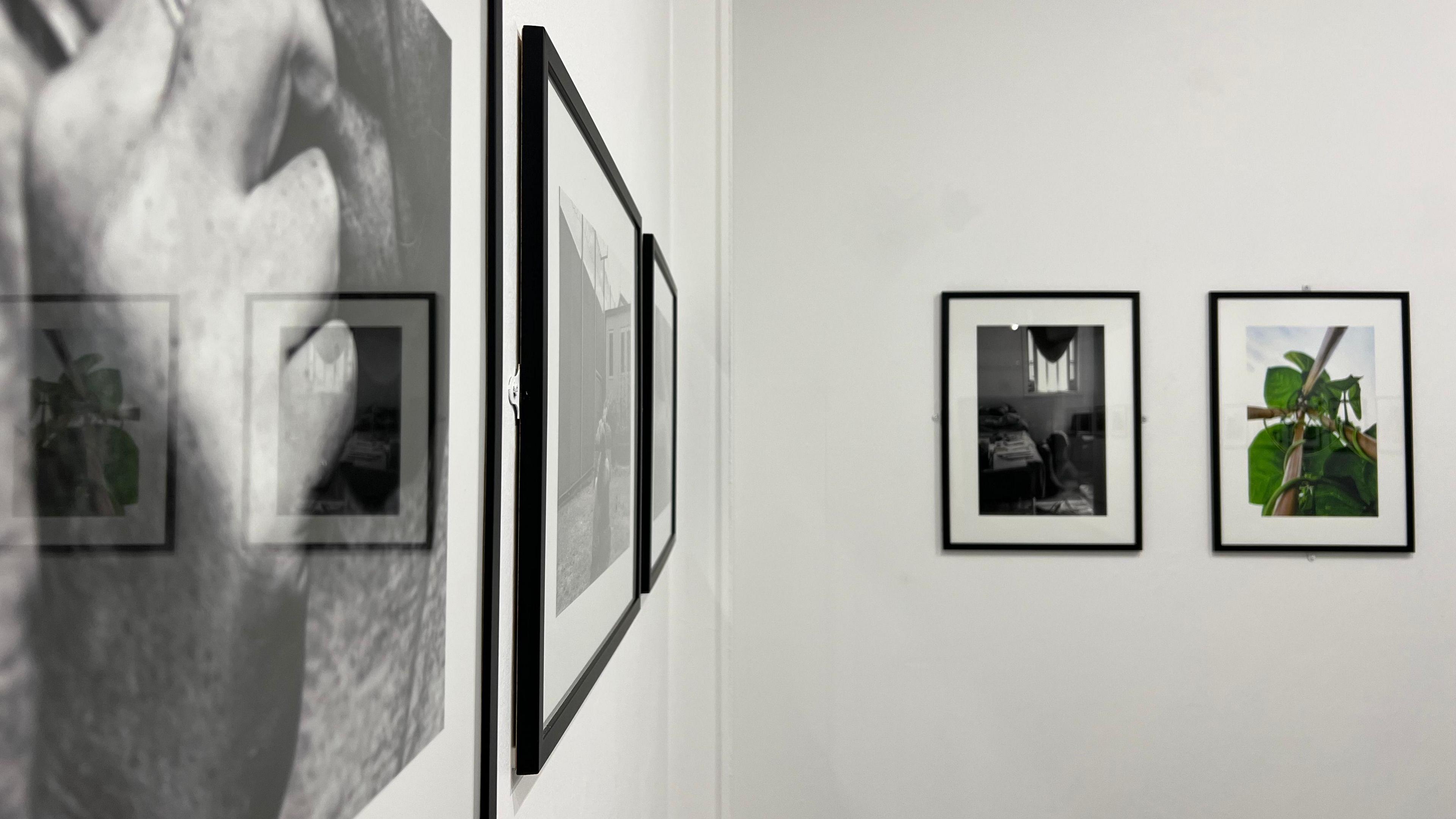 Photographs in a gallery