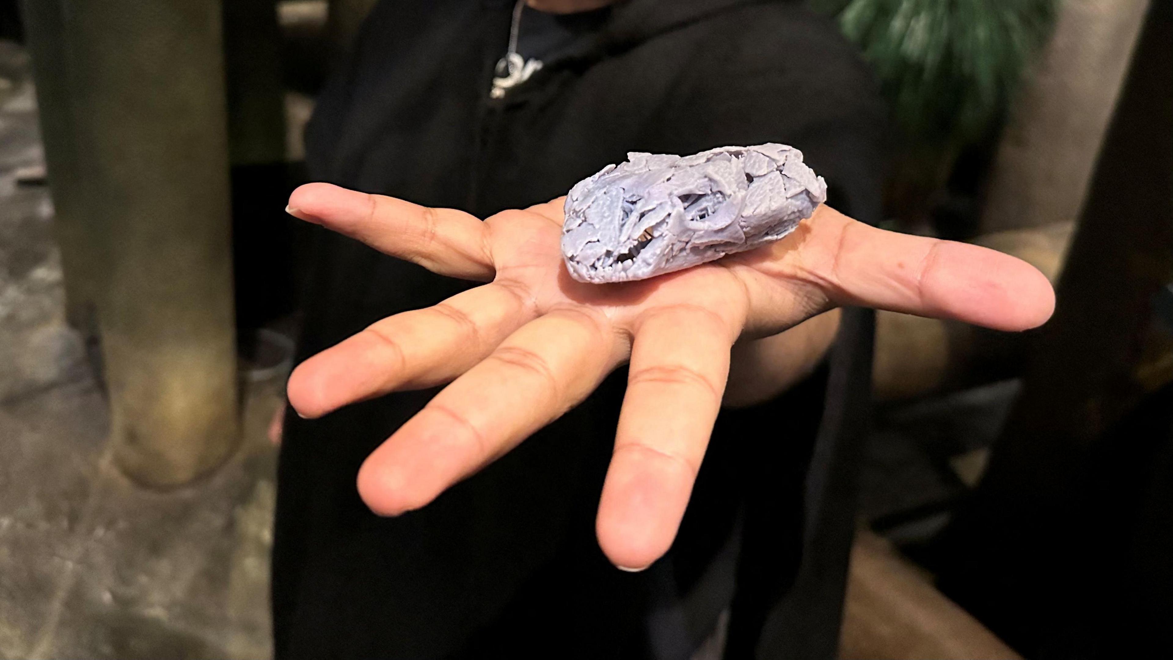 A 3D-printed replica of the skull of Tyrannoroter heberti is held in a splayed hand. 