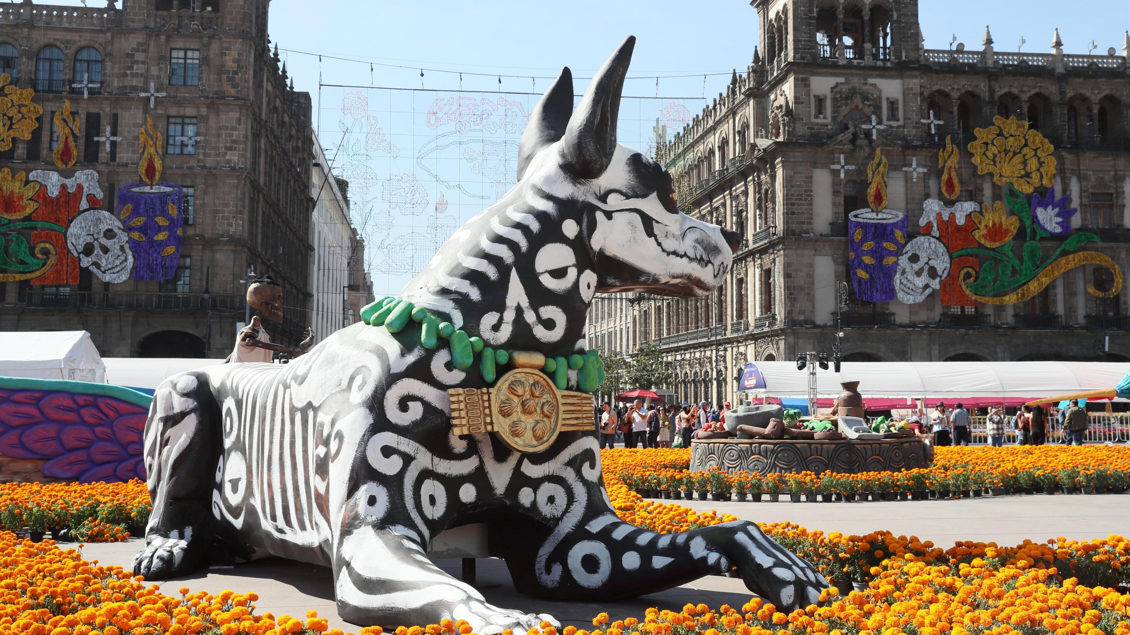 A huge papier-mâché of Xoloitzcuintles - a Mexican hairless dog.