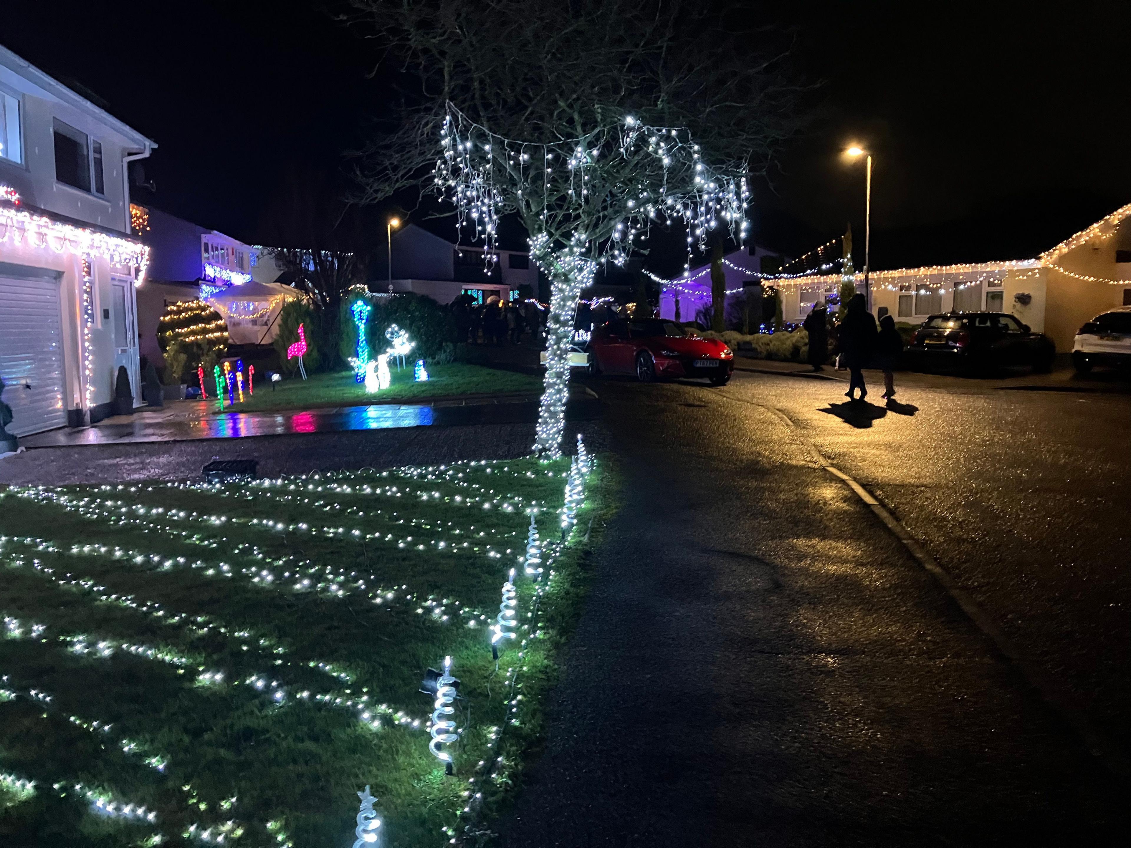 Tree, lawn and houses lined with lights