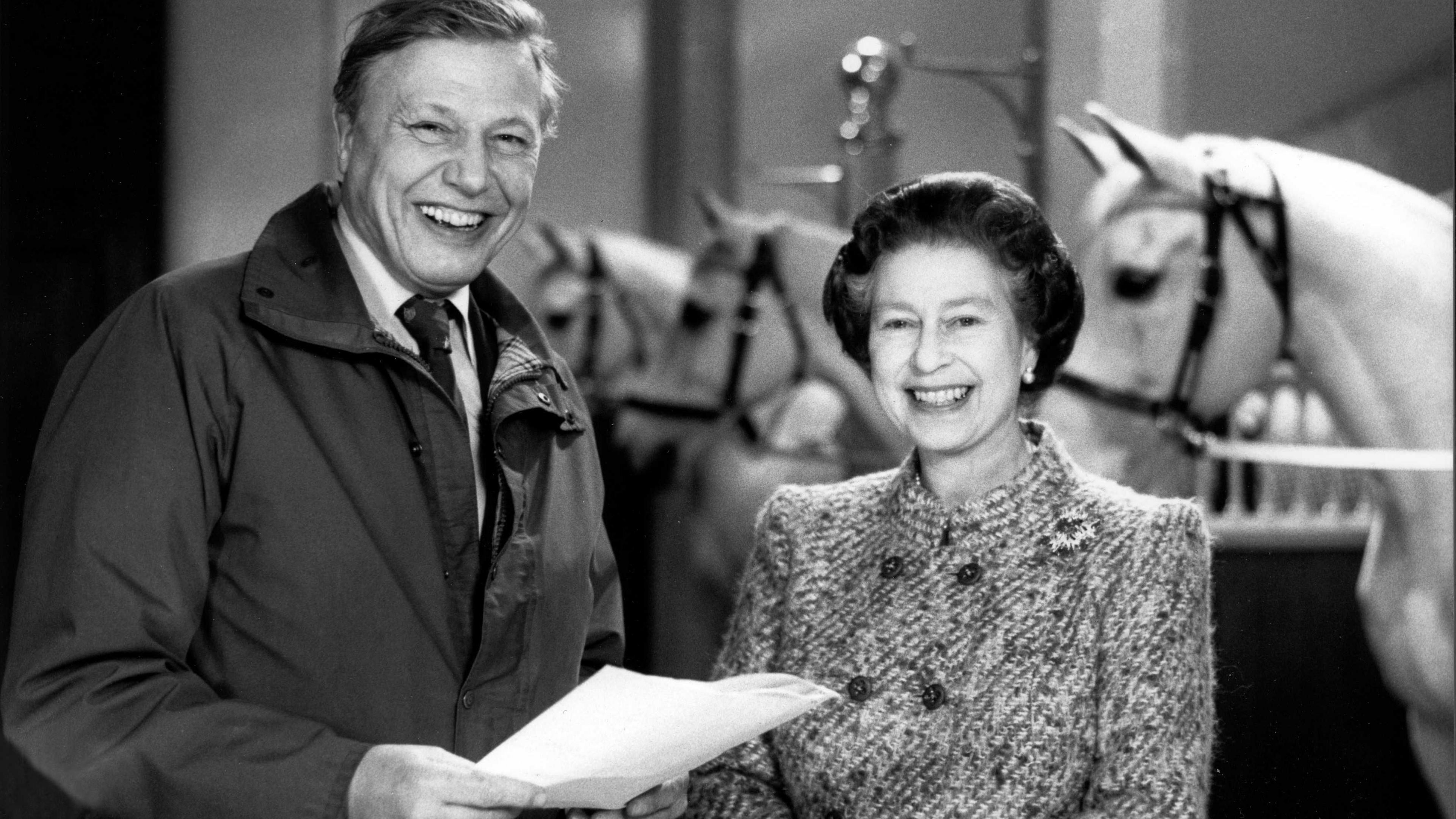 Queen Elizabeth wearing a patterned light brown wool coat is standing in the Royal Mews. She is looking at the camera. Several white horses are behind her. to her right is Sir David Attenborough holding a script. 