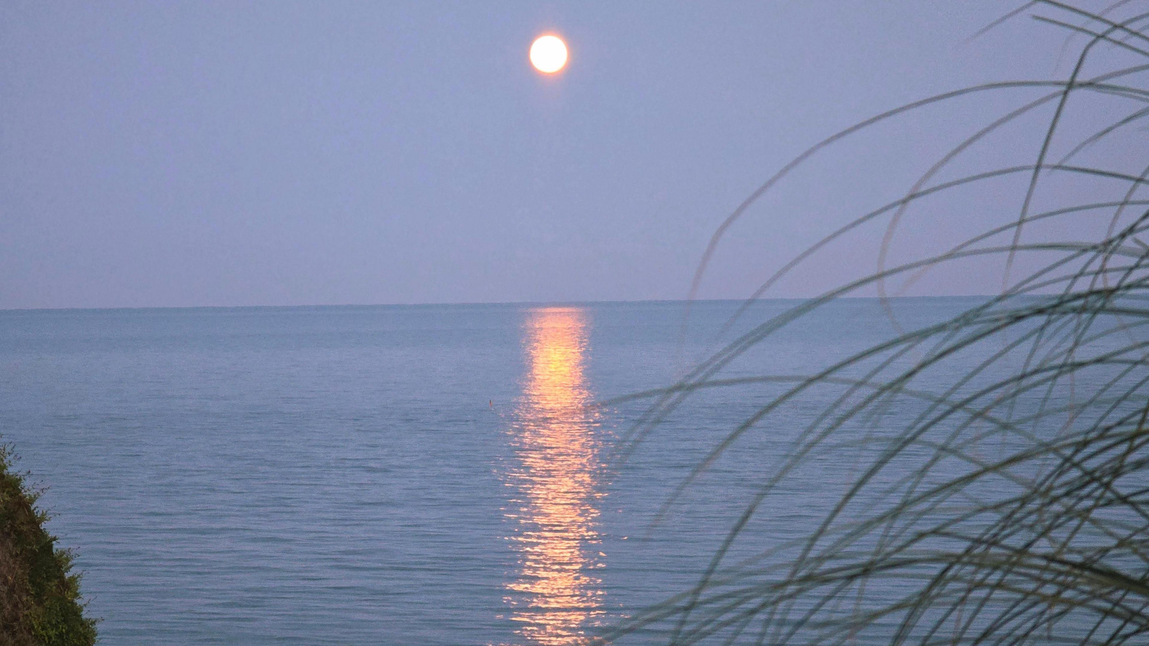 The Buck Moon creating a sunset over the sea on a beach in Devon.
