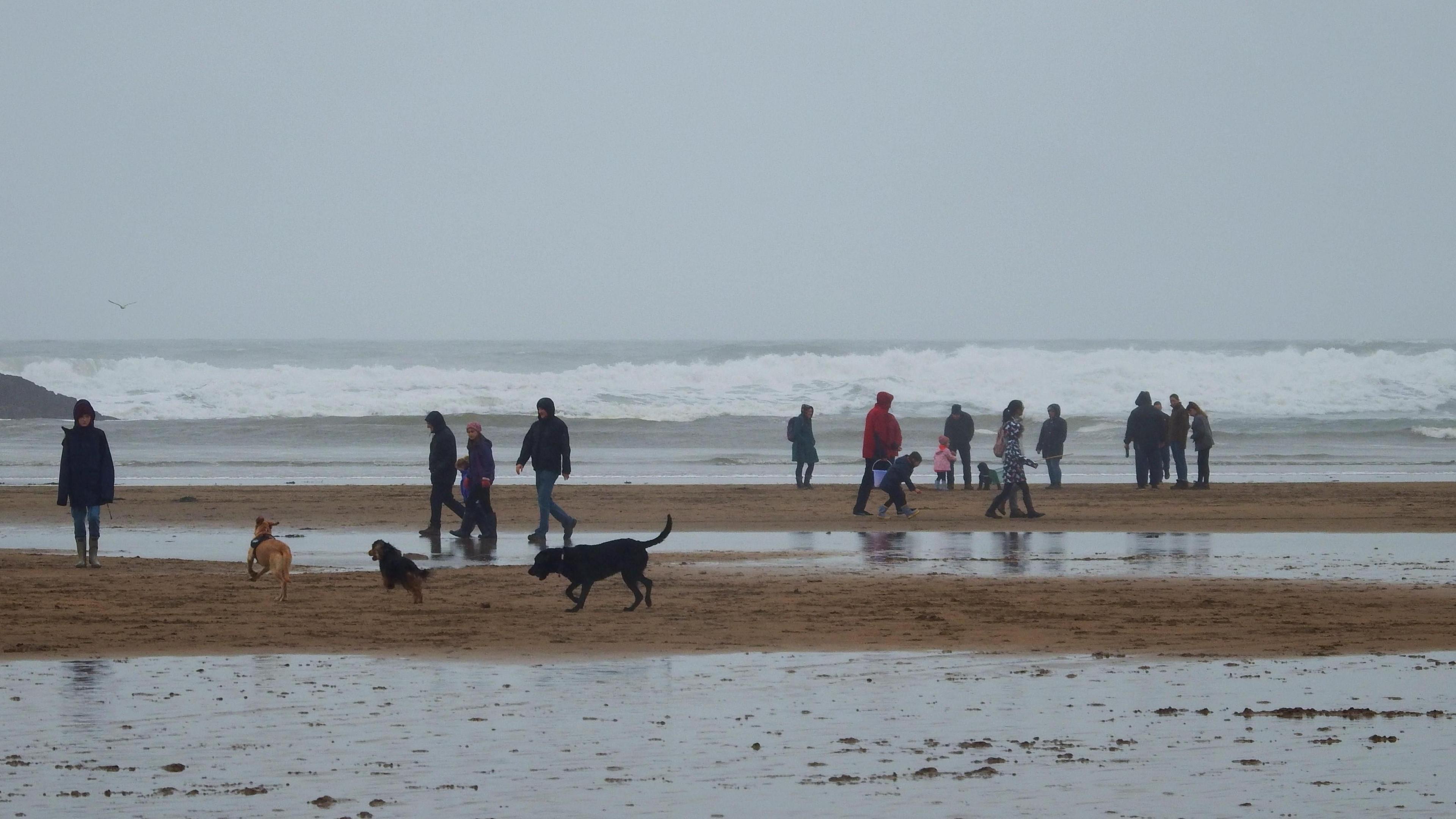 Several people walk around a beach in Cornwall on a gloomy day. Four dogs are also on the sands. Water is covering sections of the sand. Large waves are in the distance.