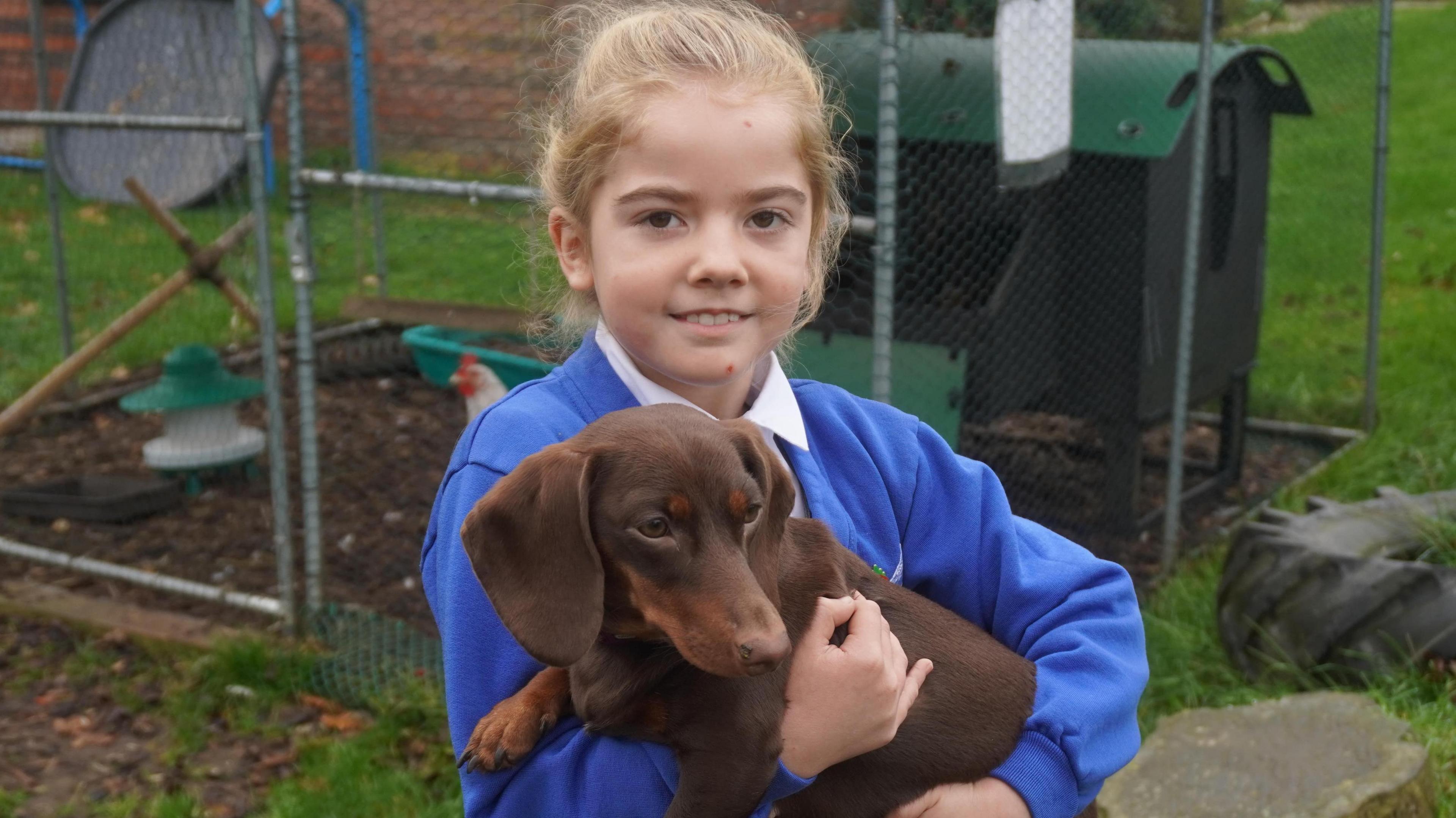 A young school girl with blonde hair holds a brown coloured sausage dog. The girl is smiling at the camera while the dog looks into the distance. The girl is wearing a blue coloured school jumper with a white shirt underneath.