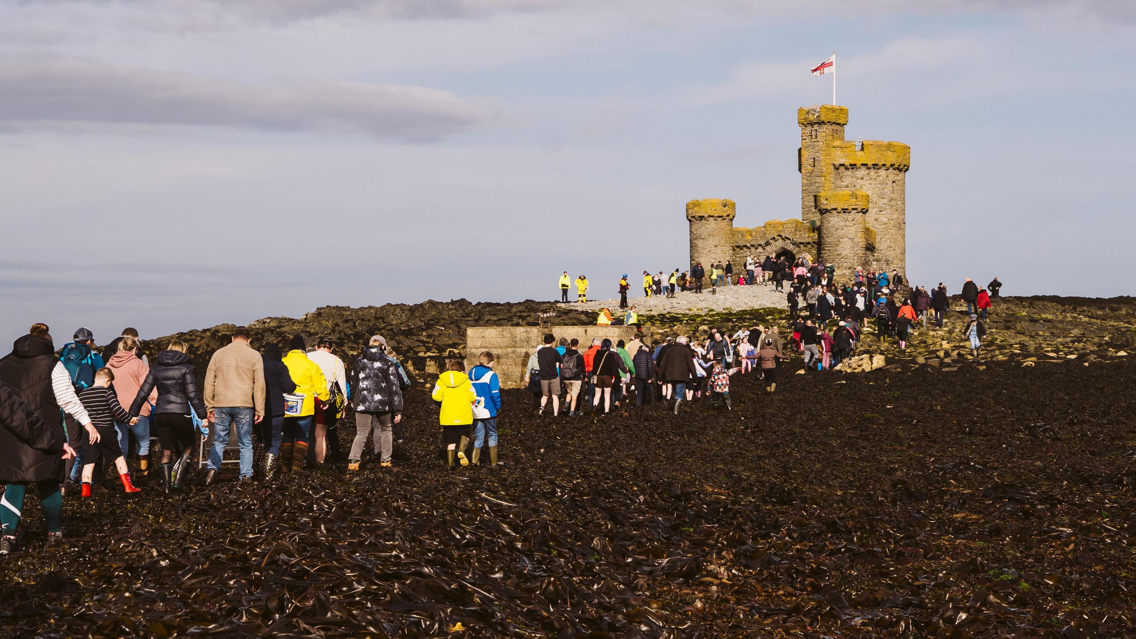 A large crowd walks along the seaweed covered terrain to the Tower of Refuge, which is a small stone-built castle-like structure with the Manx flag flying.