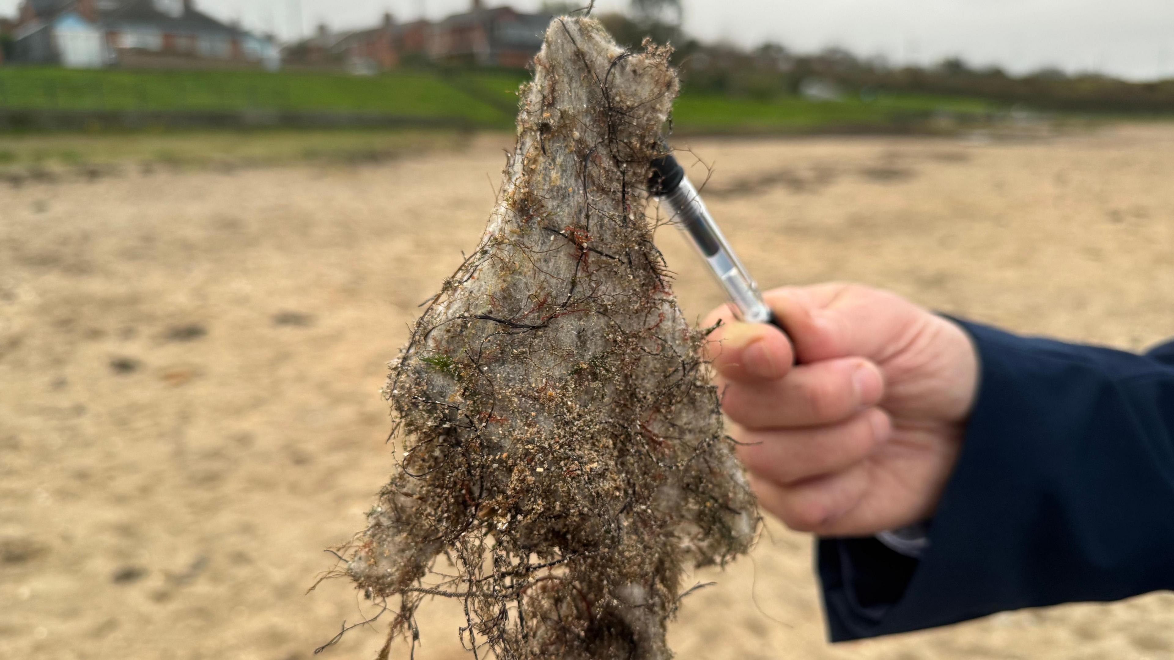 A decomposing wet wipe on the end of a pen, which is being held by a hand. The person holding the pen is standing on a beach, which can be seen in the background.