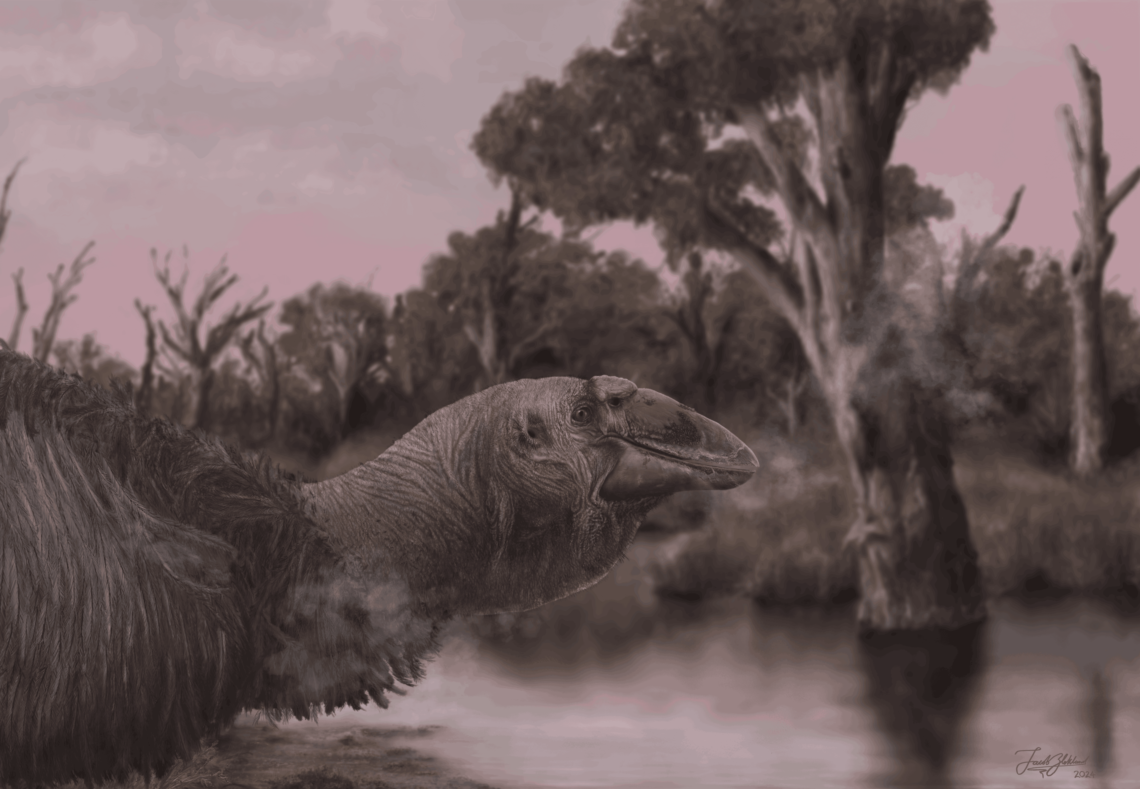 An artist's depiction of the Genyornis newtoni showing a bird with a  large upper and lower jaw 