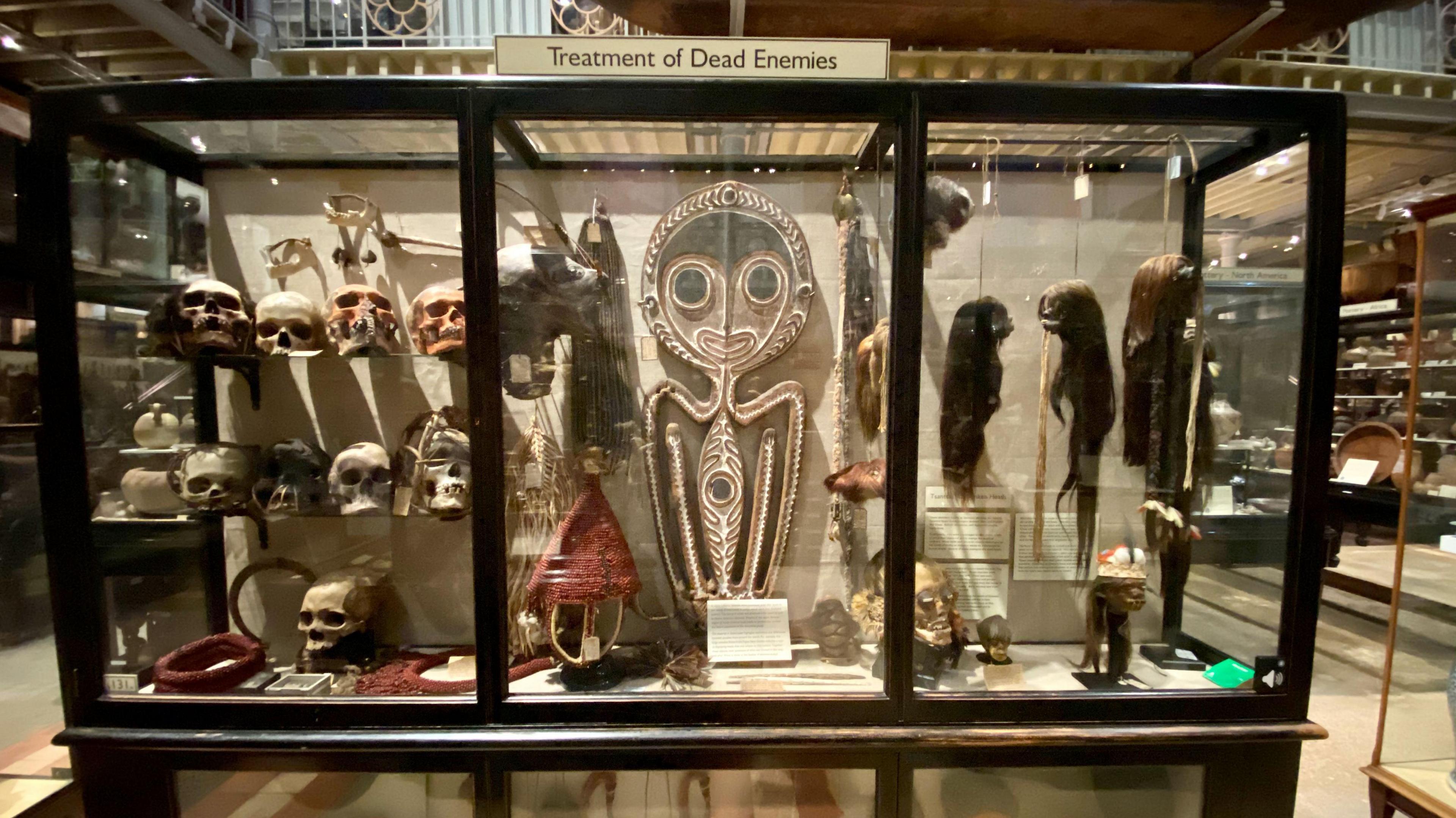 Pitt Rivers Museum has the largest collection of items of Naga tribespeople