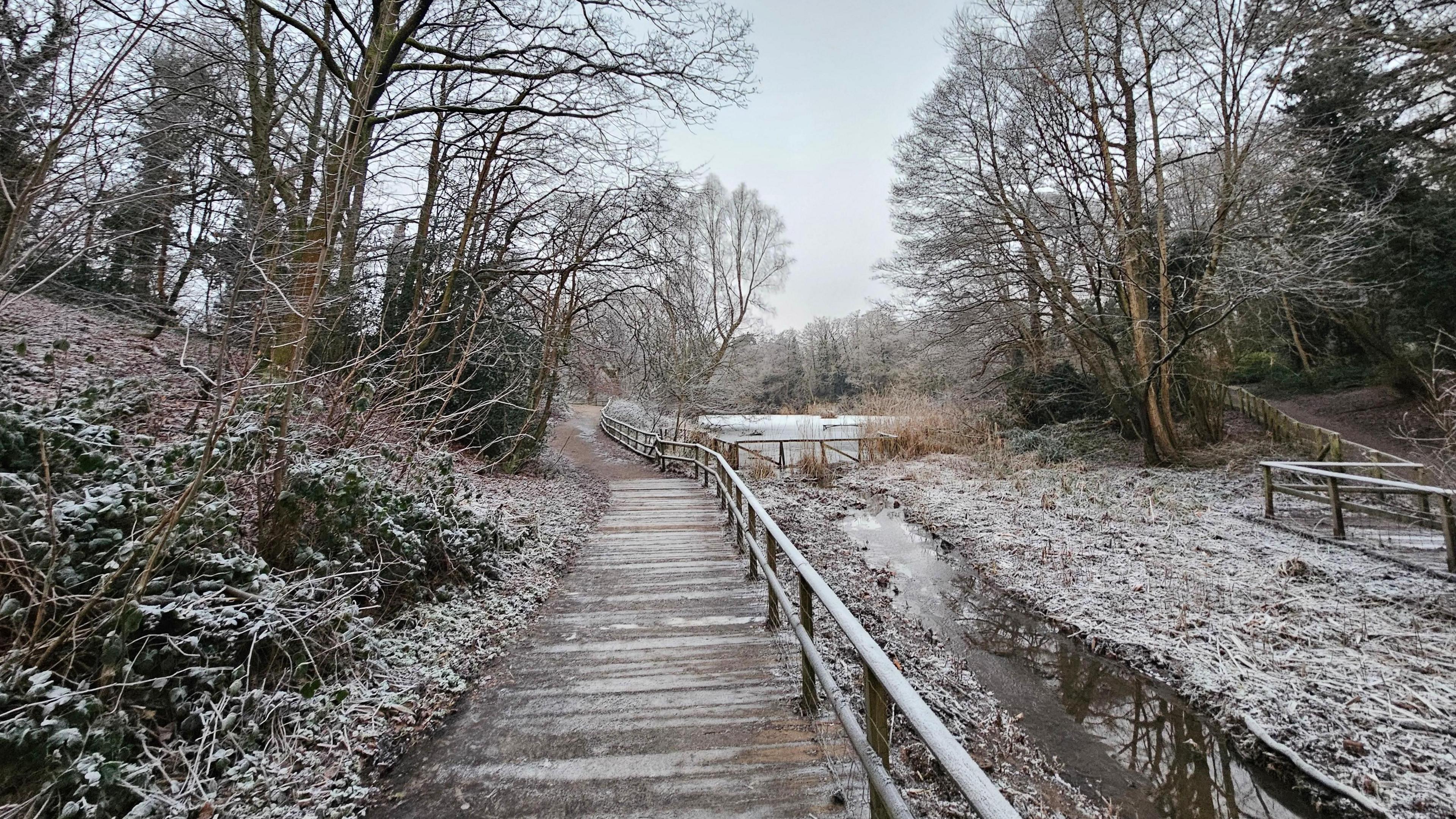 A frosty wooden bridge is surrounded by trees and frozen water. In the distance, a lake is frozen with more trees around the edges. 