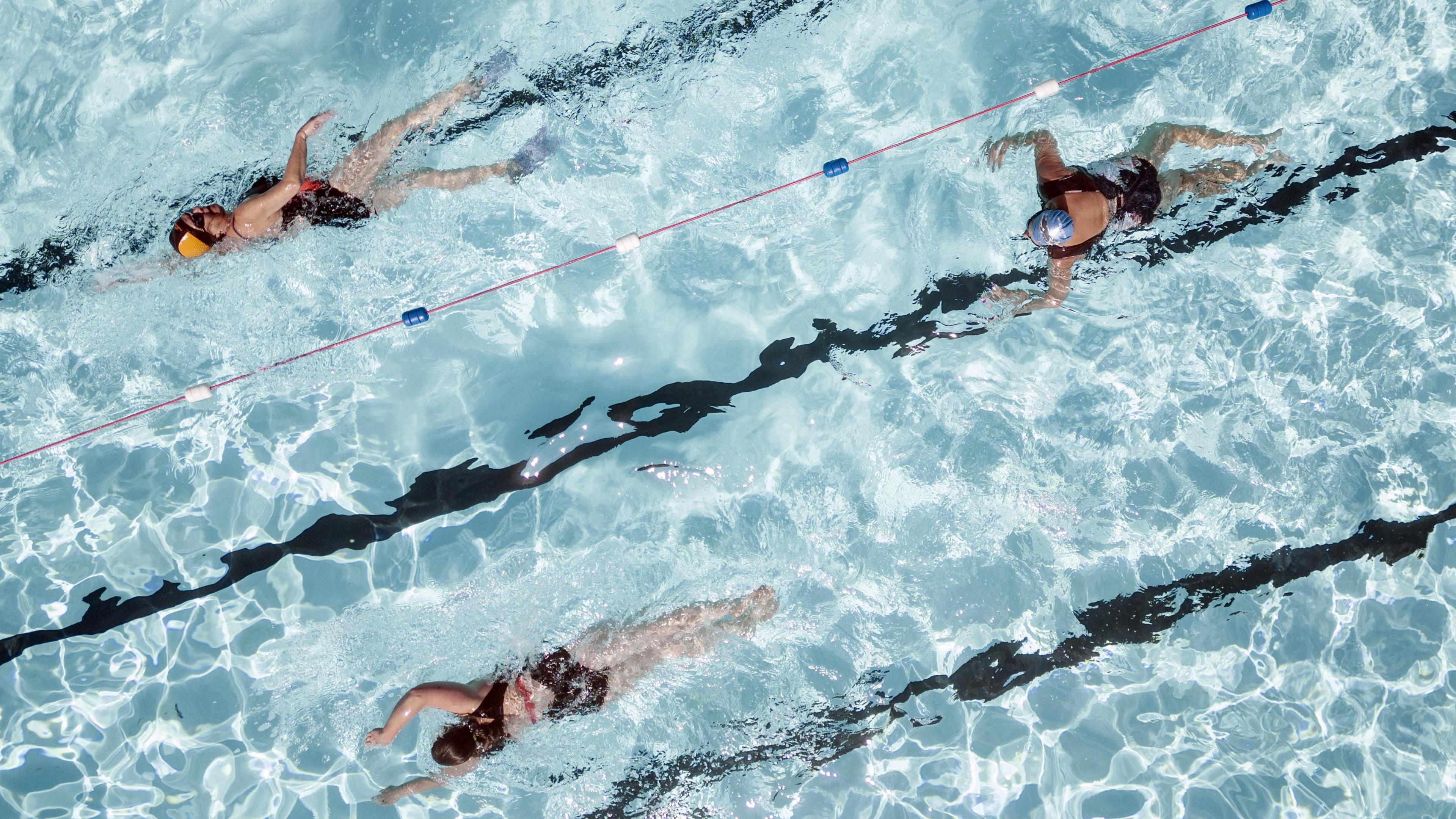 Library image of lane swimmers in a lido