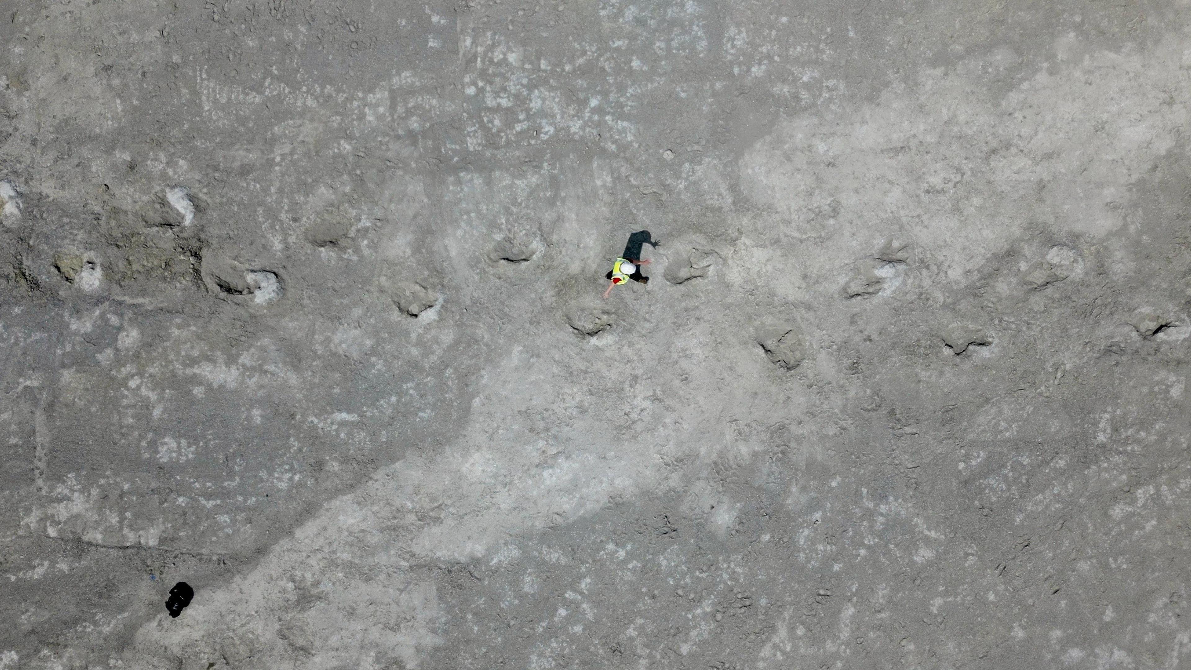 in a drone shot from about 20 metres up, a large trackway of 14 three-toed dinosaur footprints spreads across the field of vision. A worker in a white hard hat and yellow hi visibility waistcoat walks in the middle of the picture in between the tracks. His small sharply defined shadow and short sleeves suggests a sunny day and that it is close to midday.