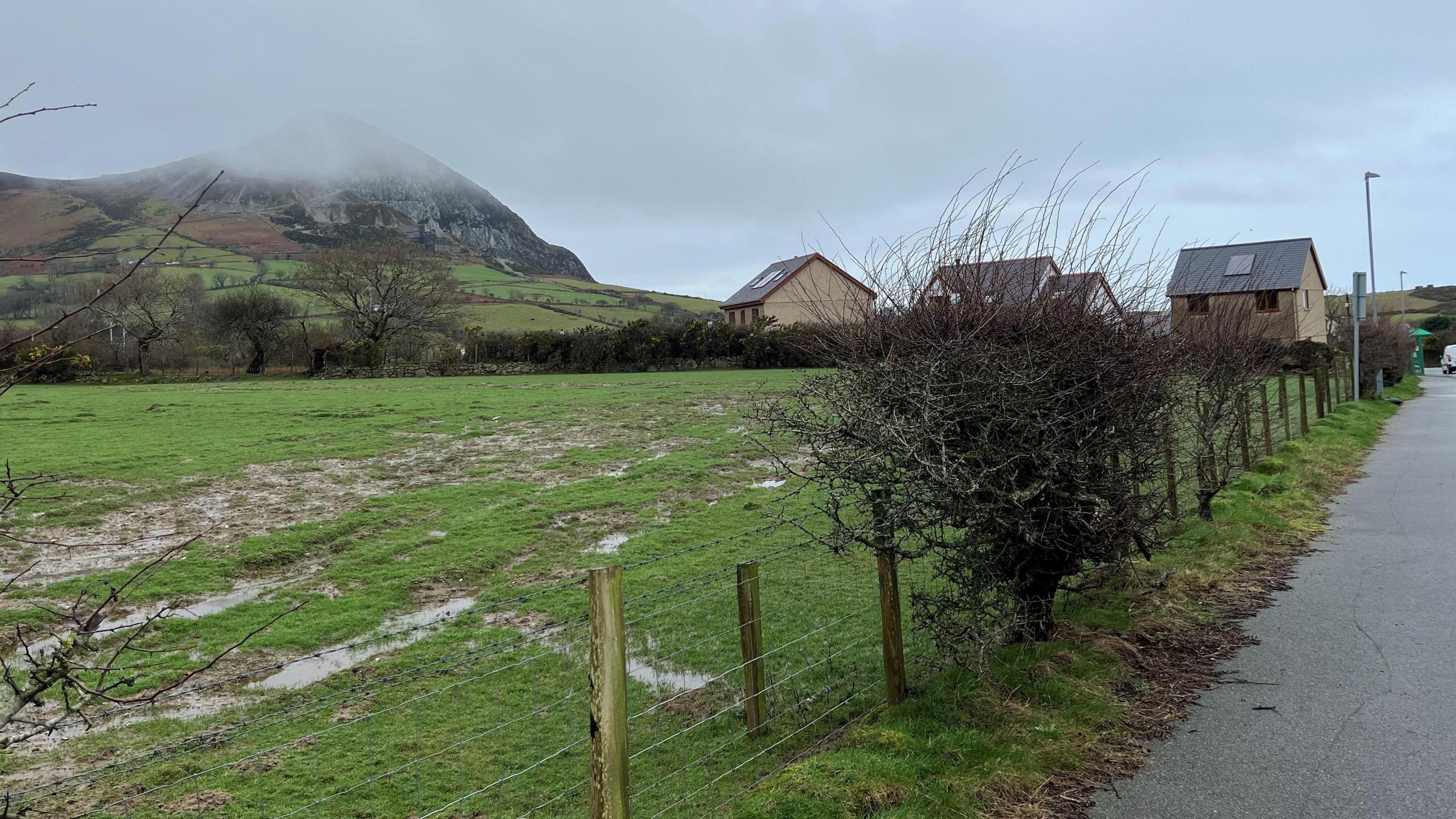 Llun o'r cae mae'r cais i ddatblygu 15 dai yn Nhrefor