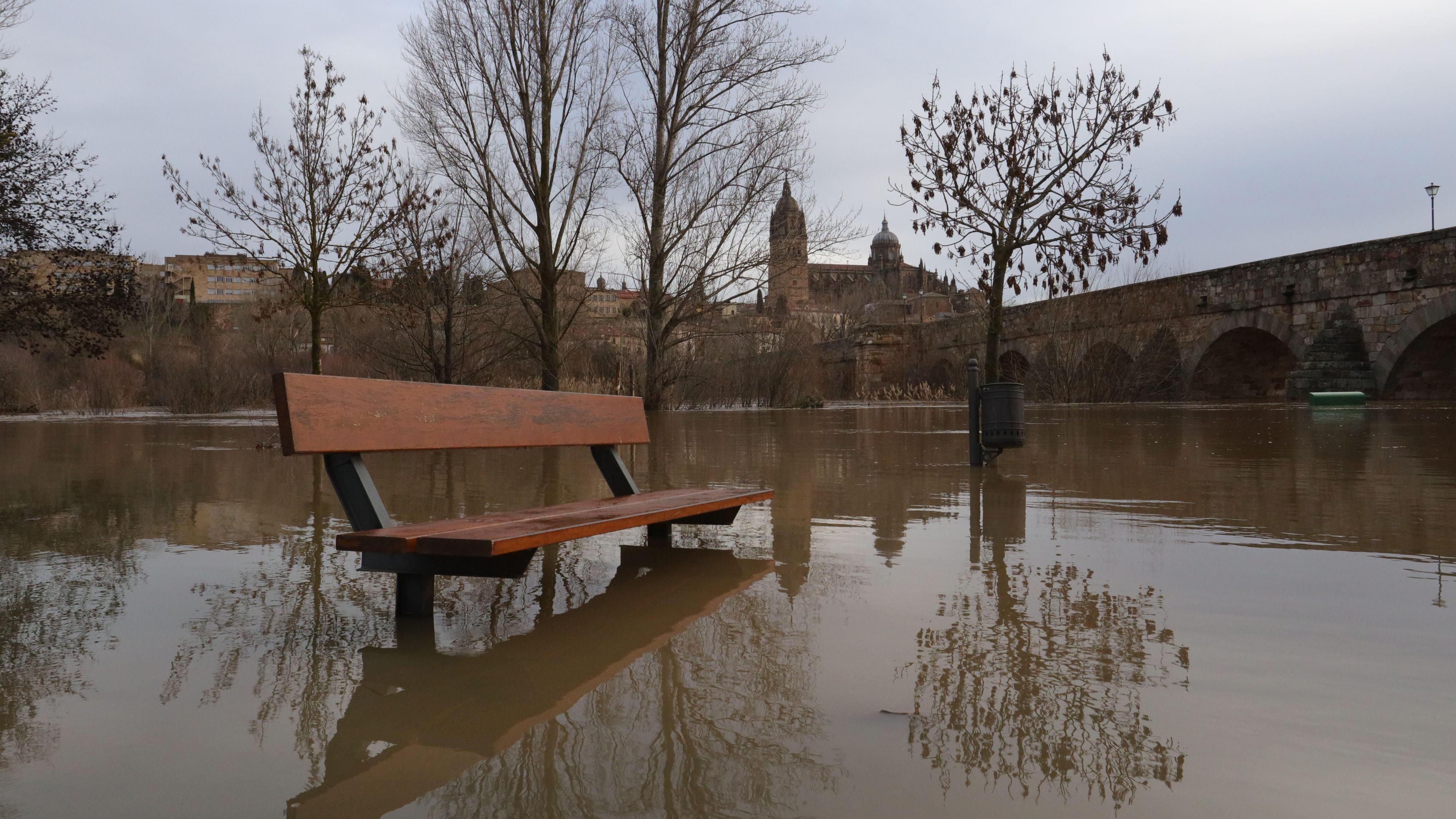 Bridge and buildings in the distance. Trees and park bench standing in flood waters of a swollen river.