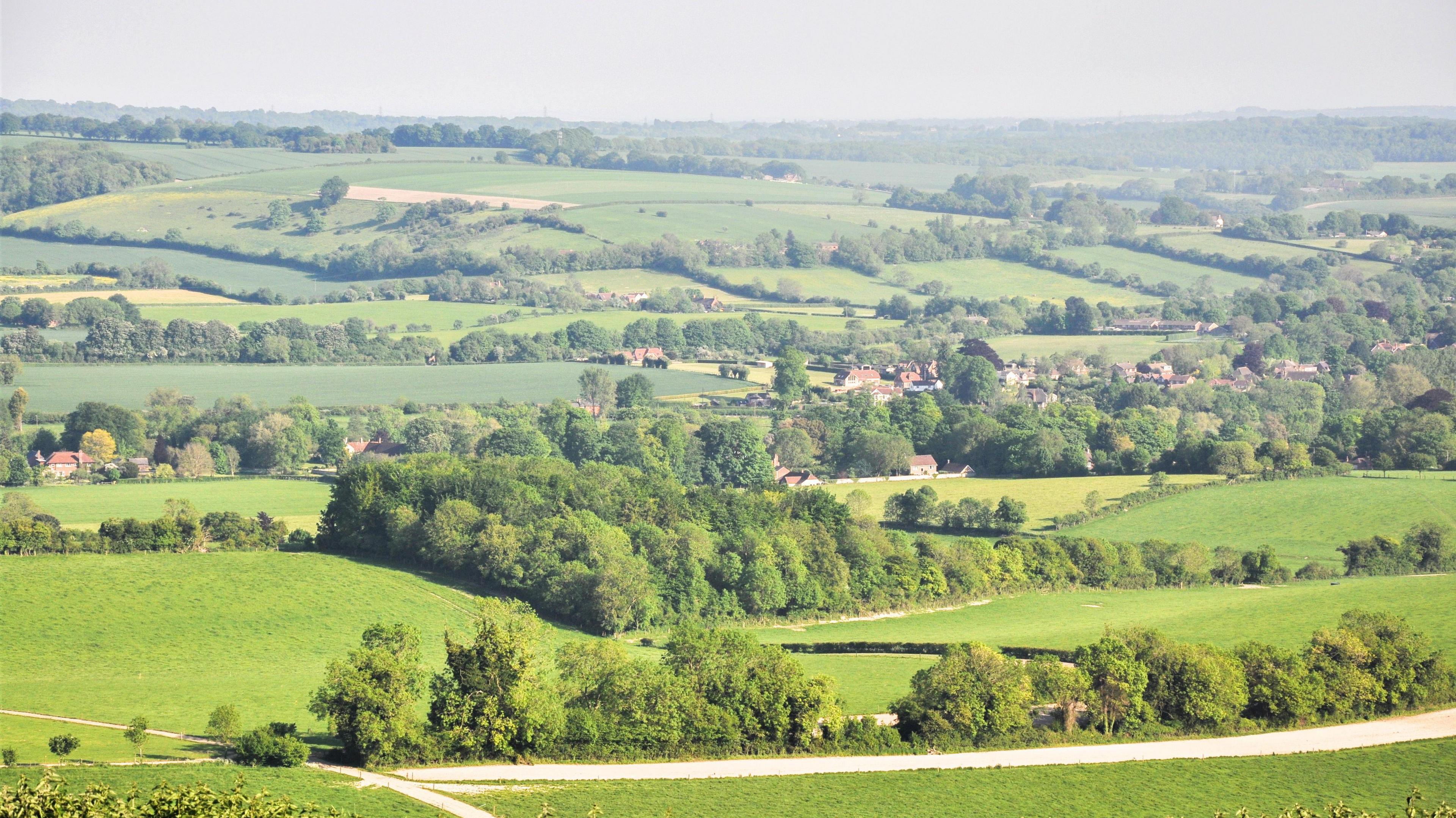 A picture of countryside, with many trees and hedgerows, on a clear day.