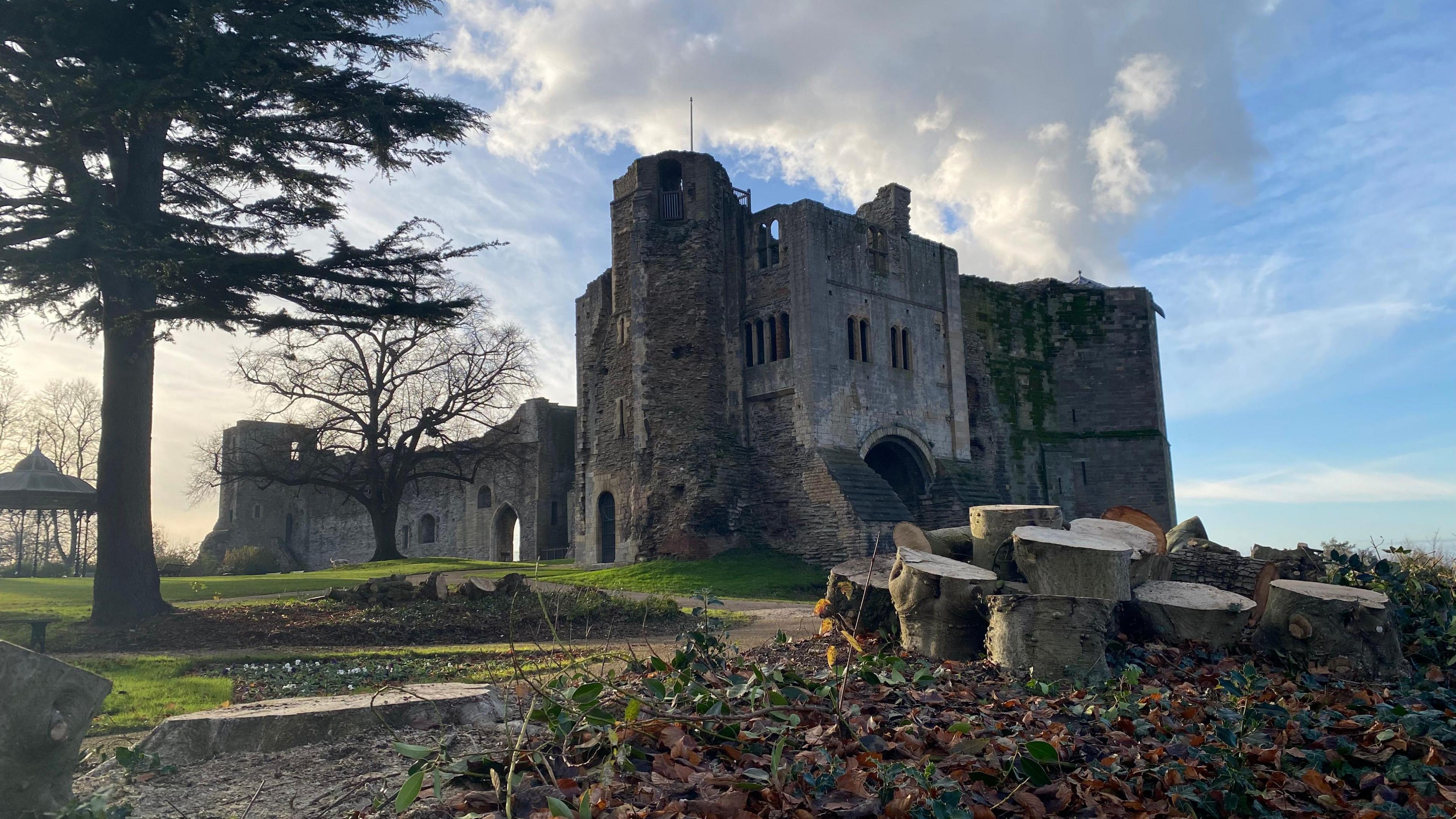 Tree stumps and logs in front of the ruins of Newark Castle.