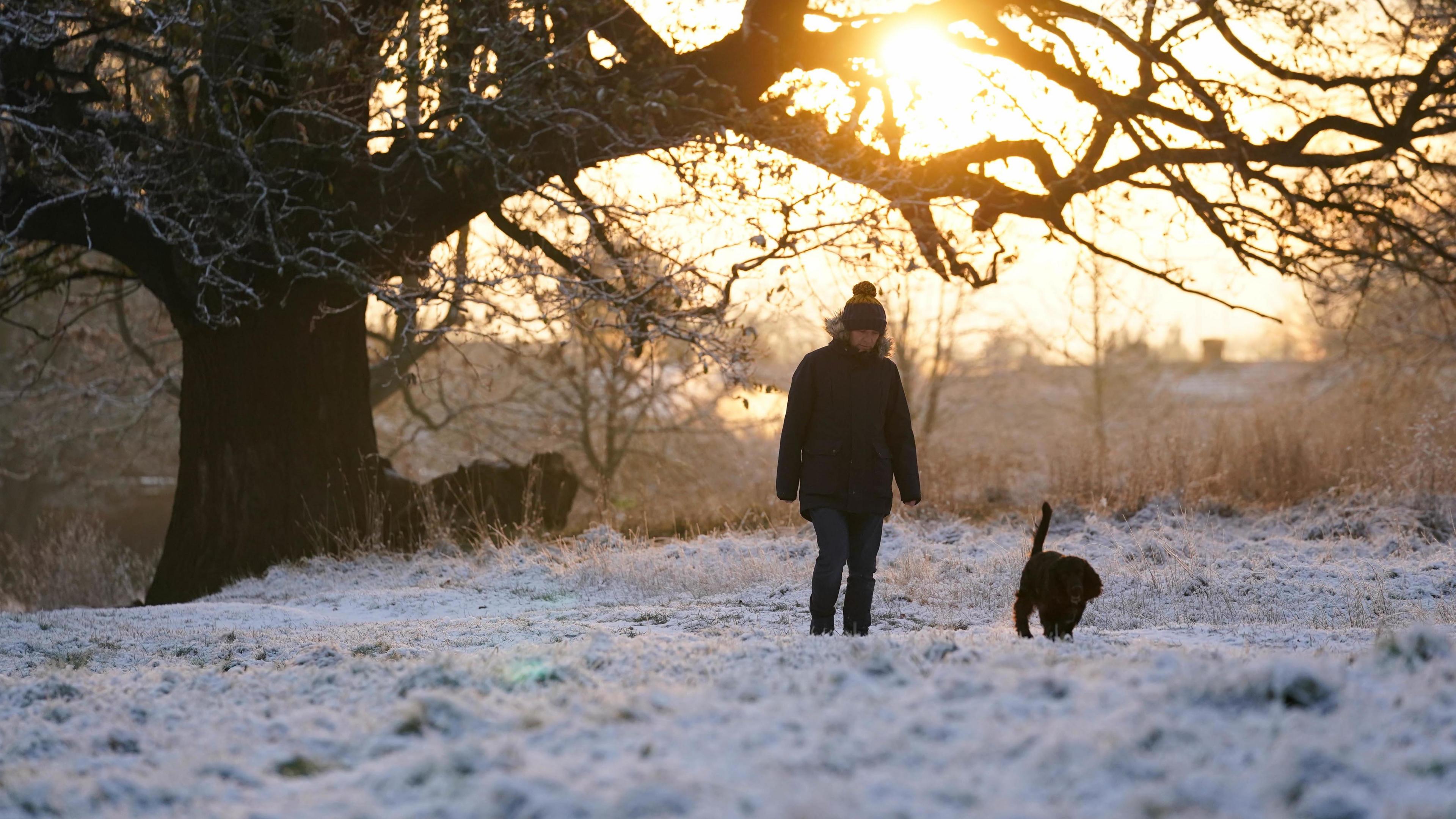 Winter scene