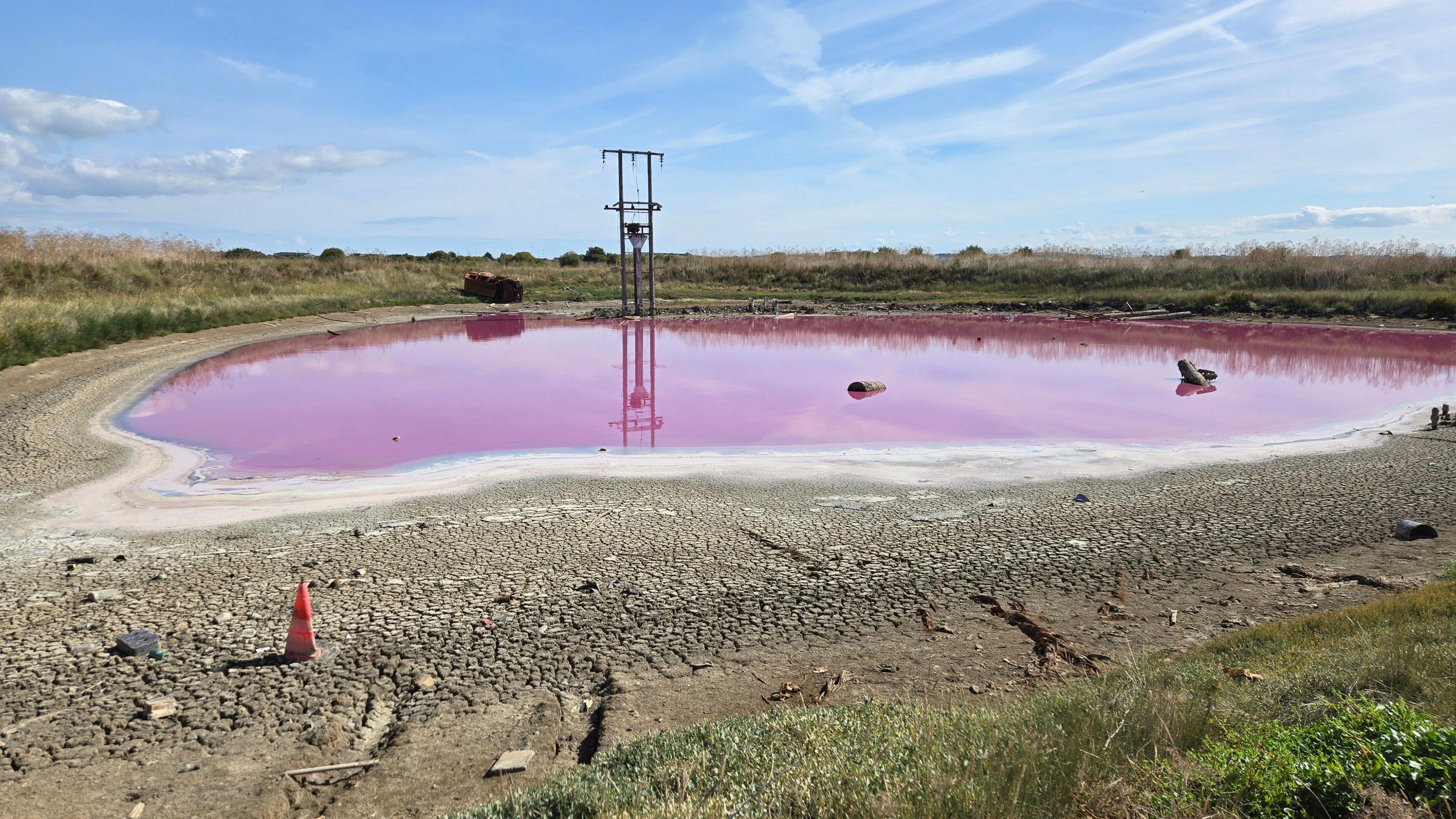 A pond on the Isle of Sheppey, with a telegraph pole beside it, with the water completely pink from algae.
