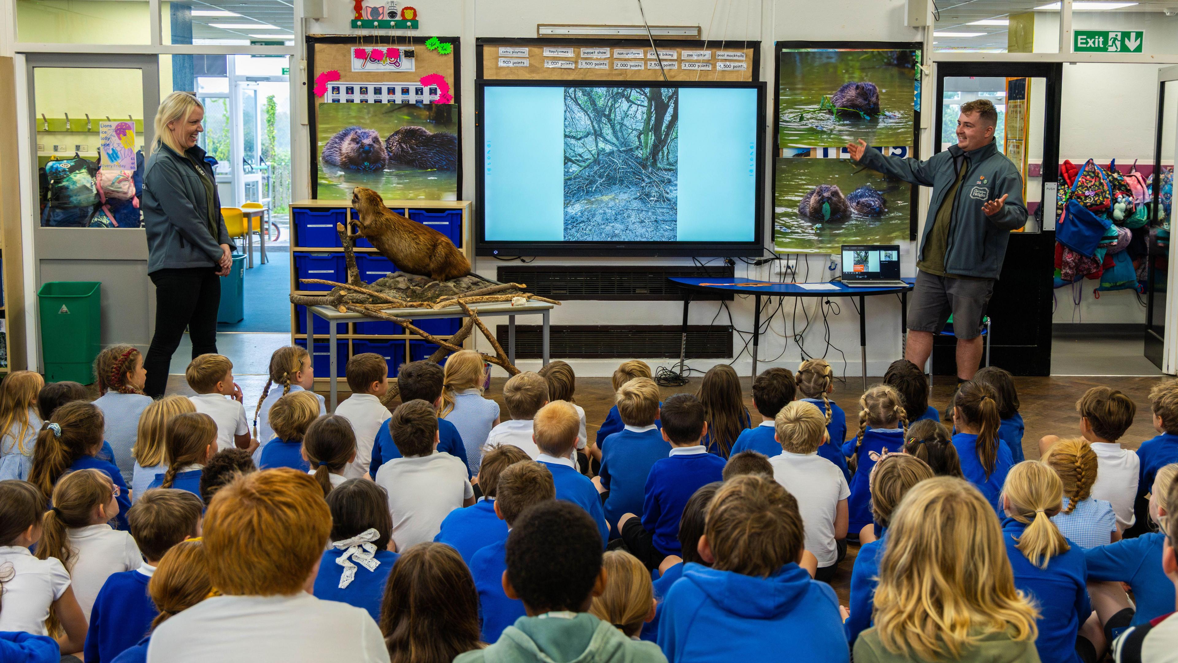 A picture of students facing away from the camera at their primary school. They are sat down in an assembly. There are two adults stood at the front of the room talking about the beavers.