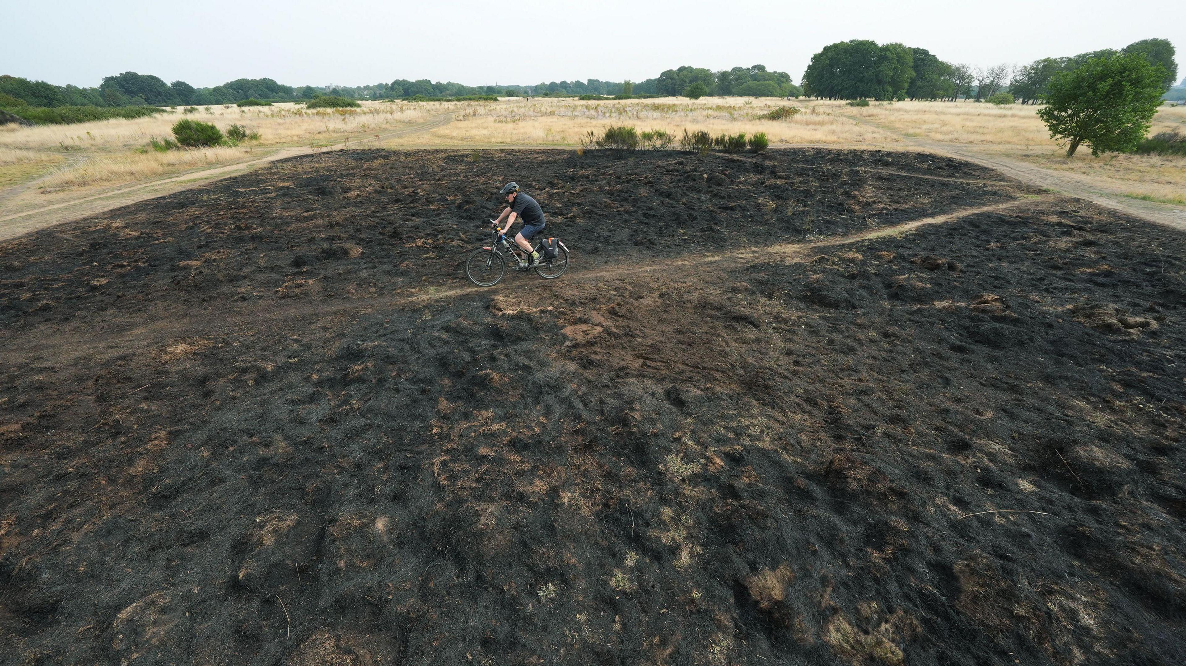 A cyclist is riding across a patch of blackened grass