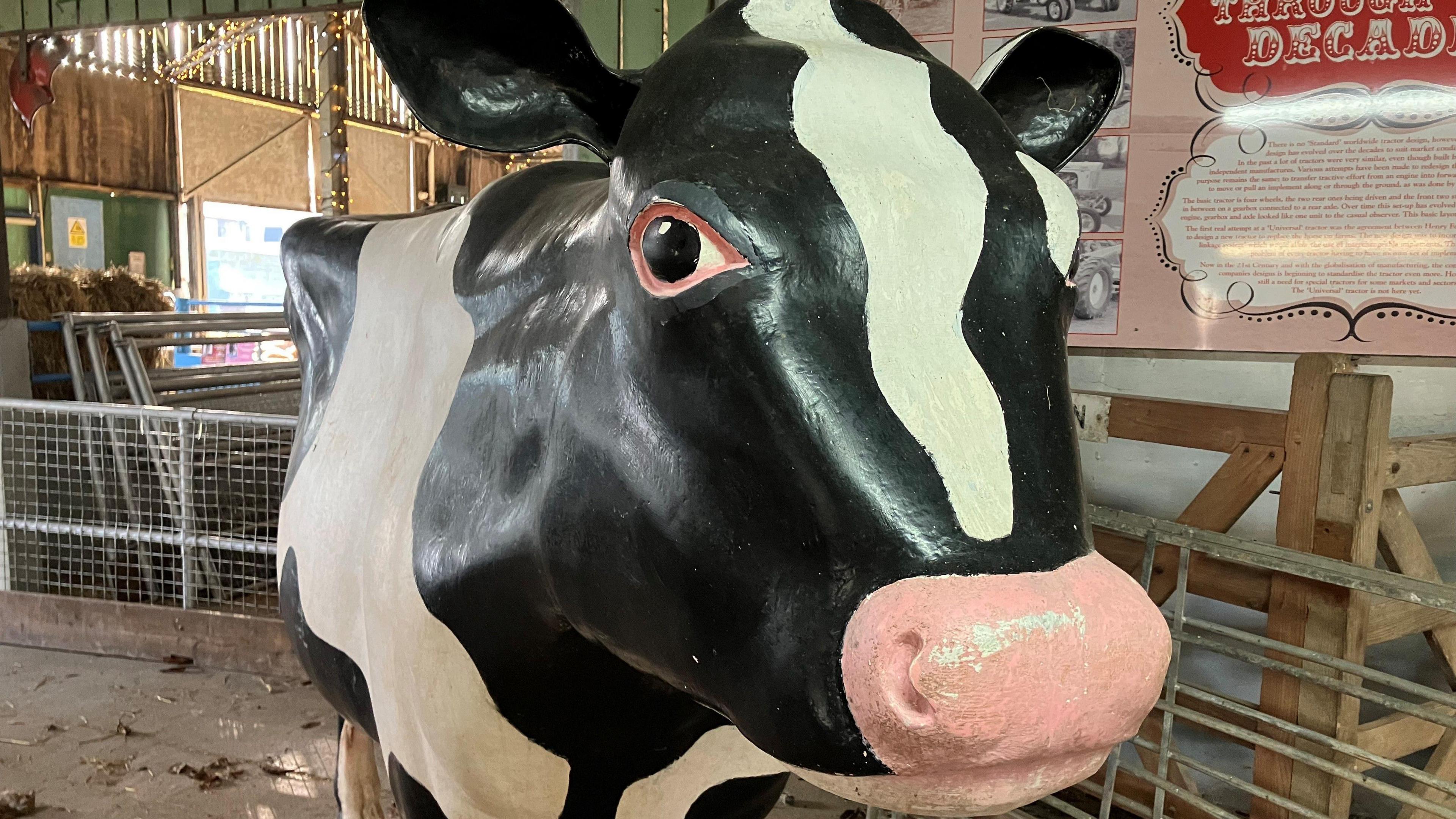 A fibre-glass cow with pink nose and black and white "Holstein" colouring with farmyard behind