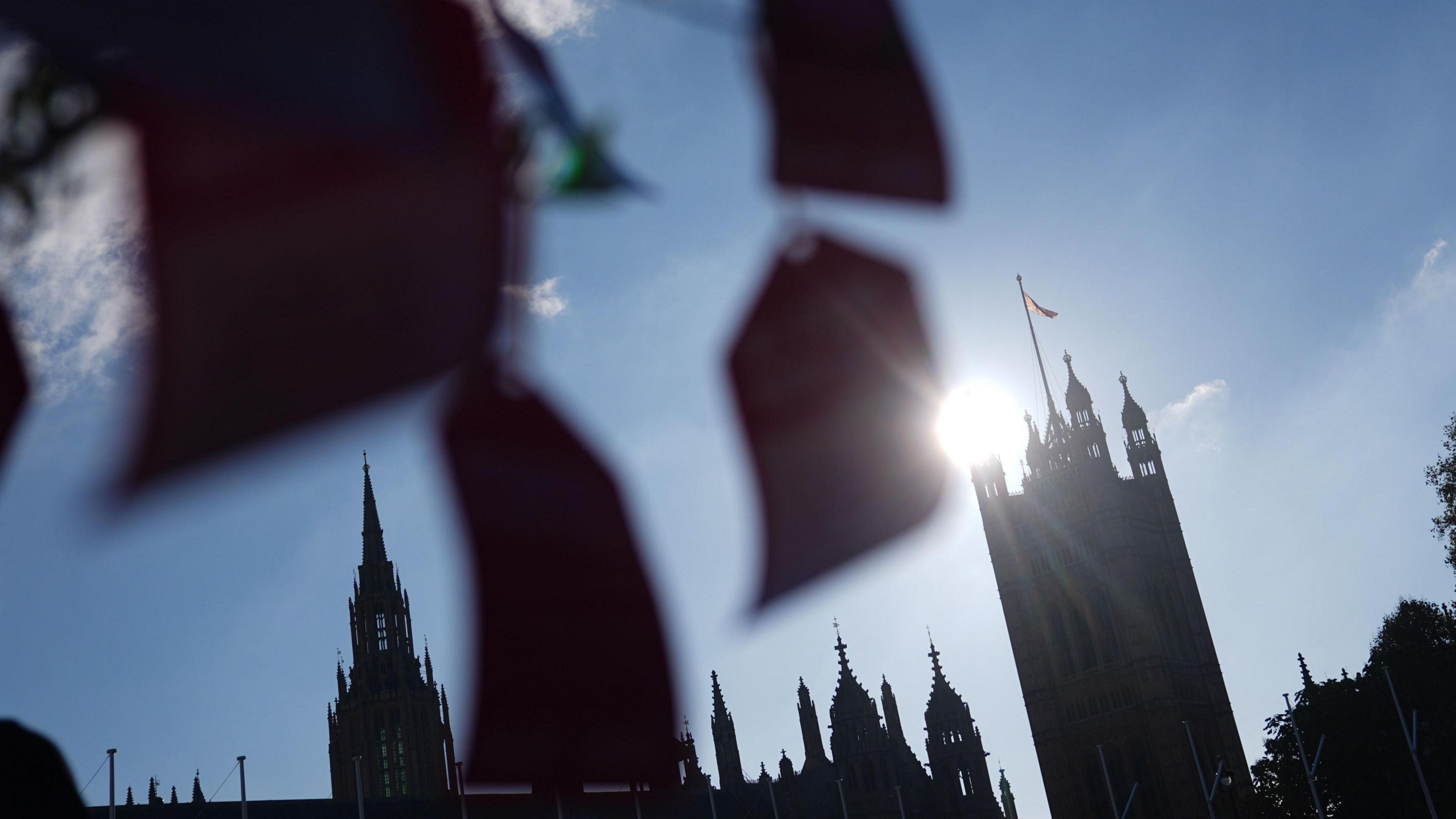 Pink assisted dying campaign leaflets in front of the Houses of Parliament.