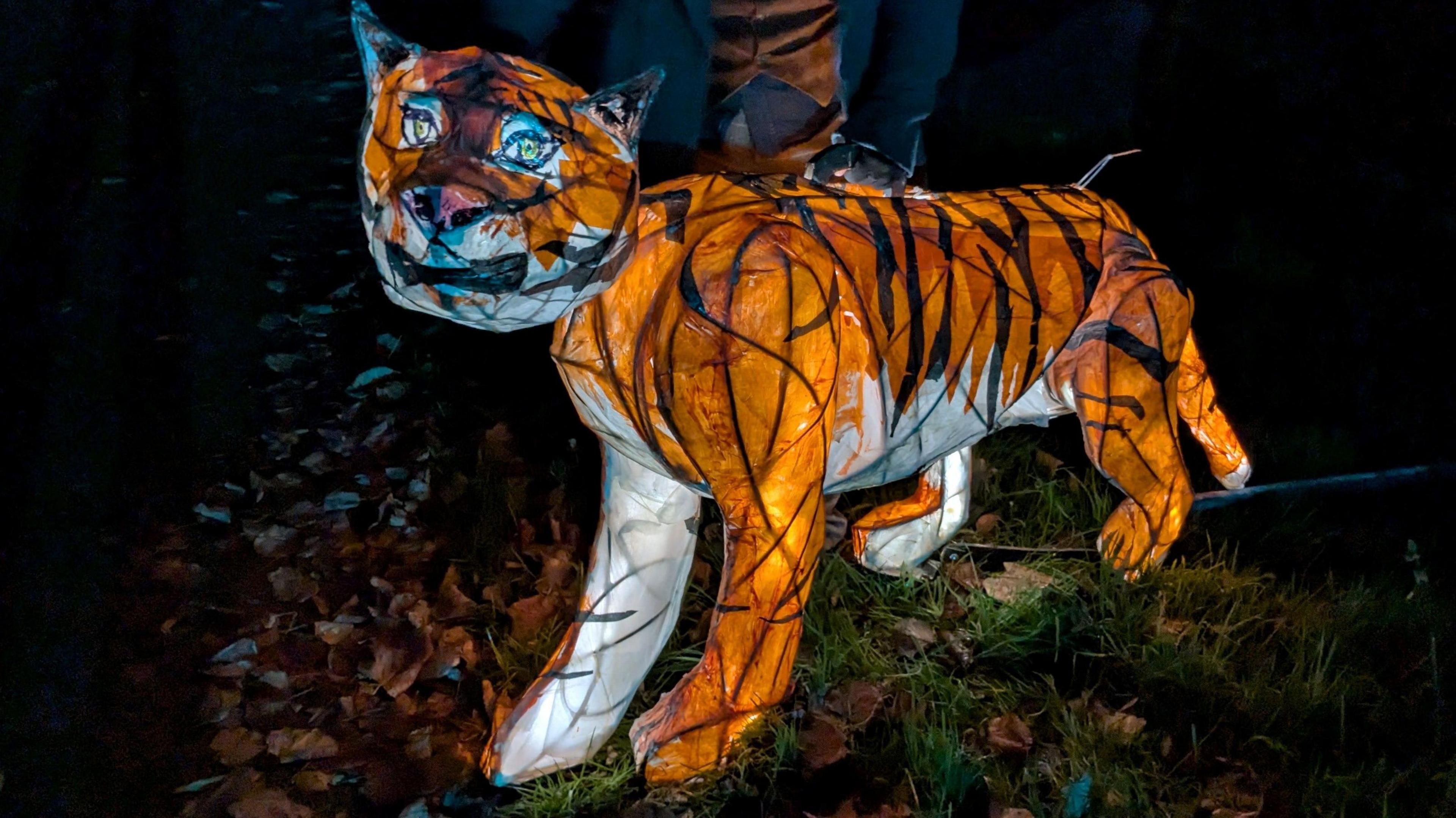 An illuminated 3D model of a tiger. It is a frame covered in orange, white and black paper with LED lights inside.  