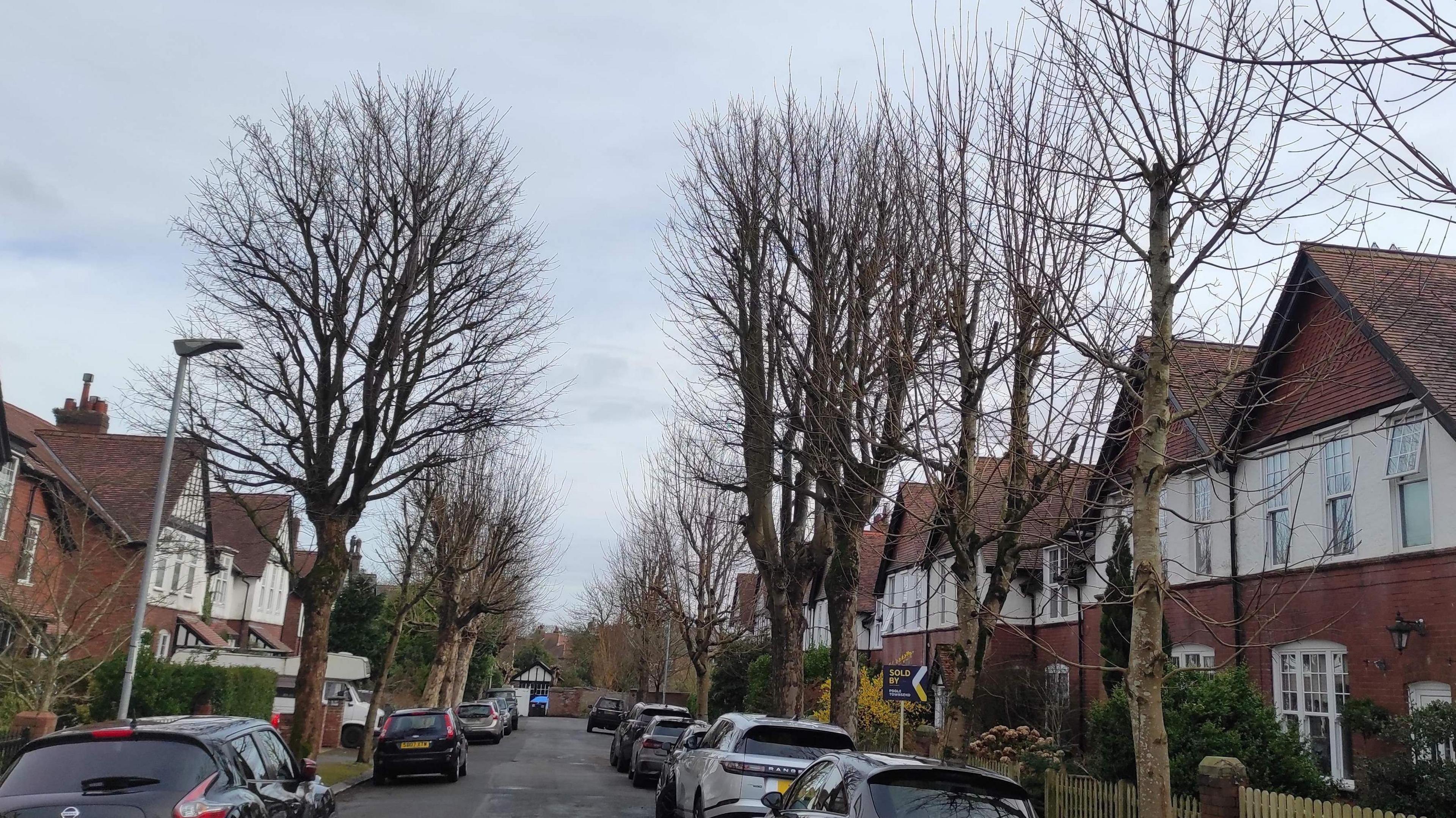 Several trees line the street at Infield Park in Barrow. Cars are parked on each side of the road, outside the large houses.