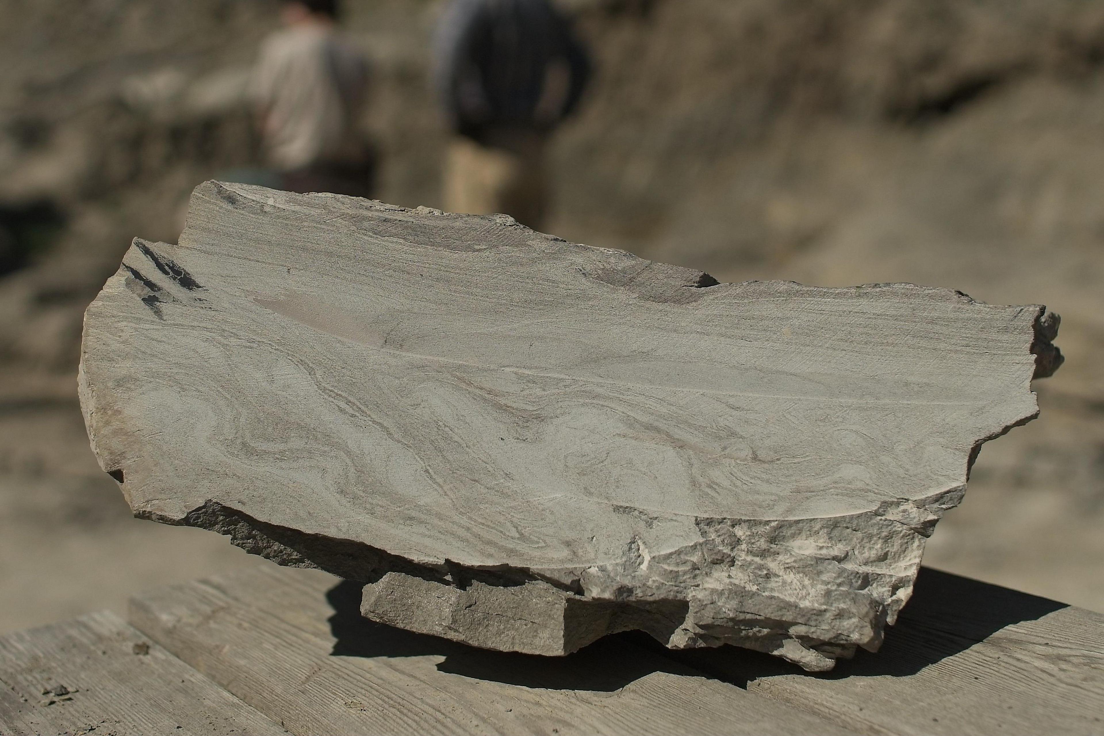 A wave can be seen in a rock found from the creek.