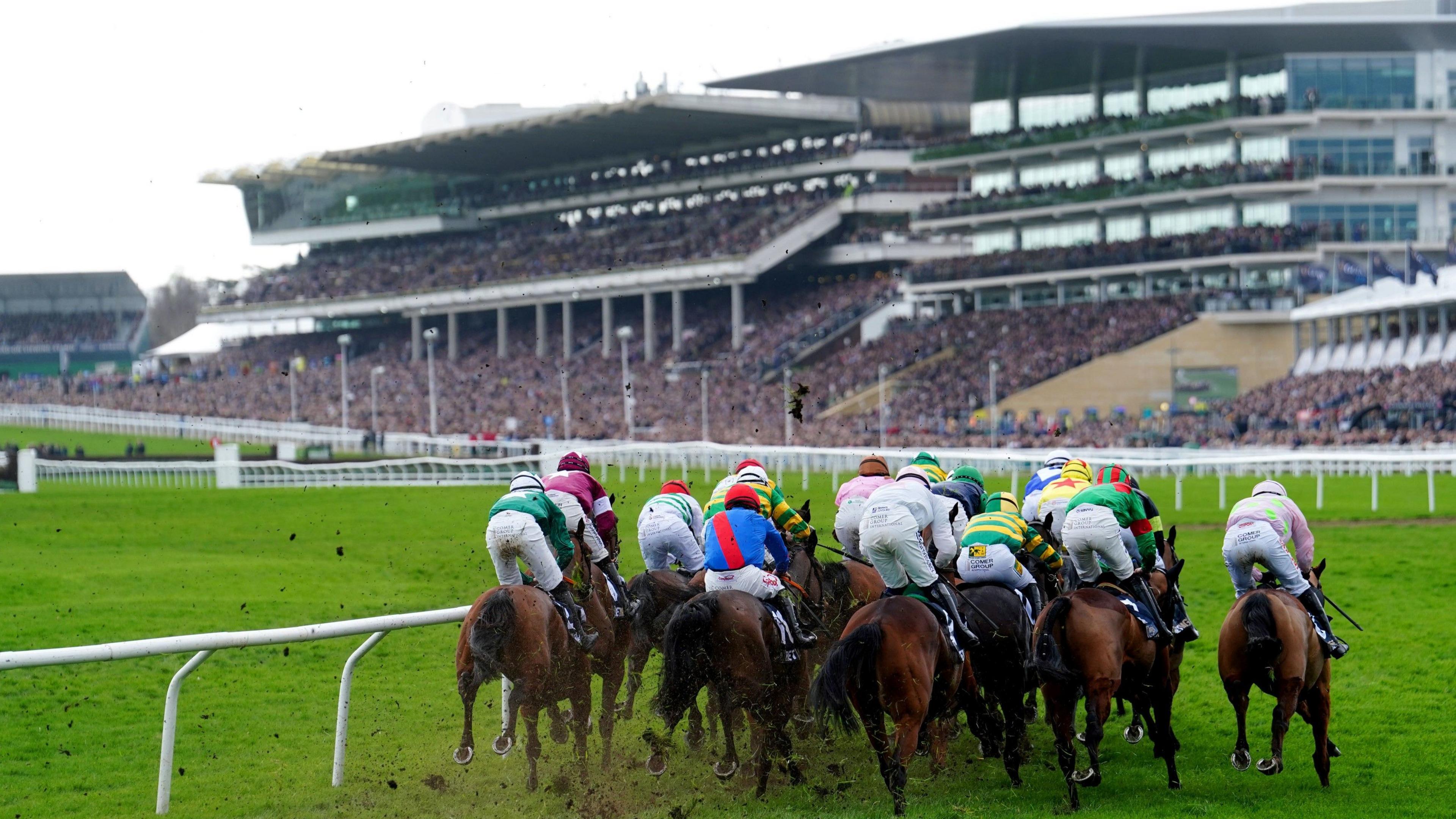 Horses coming round the final bend at Cheltenham