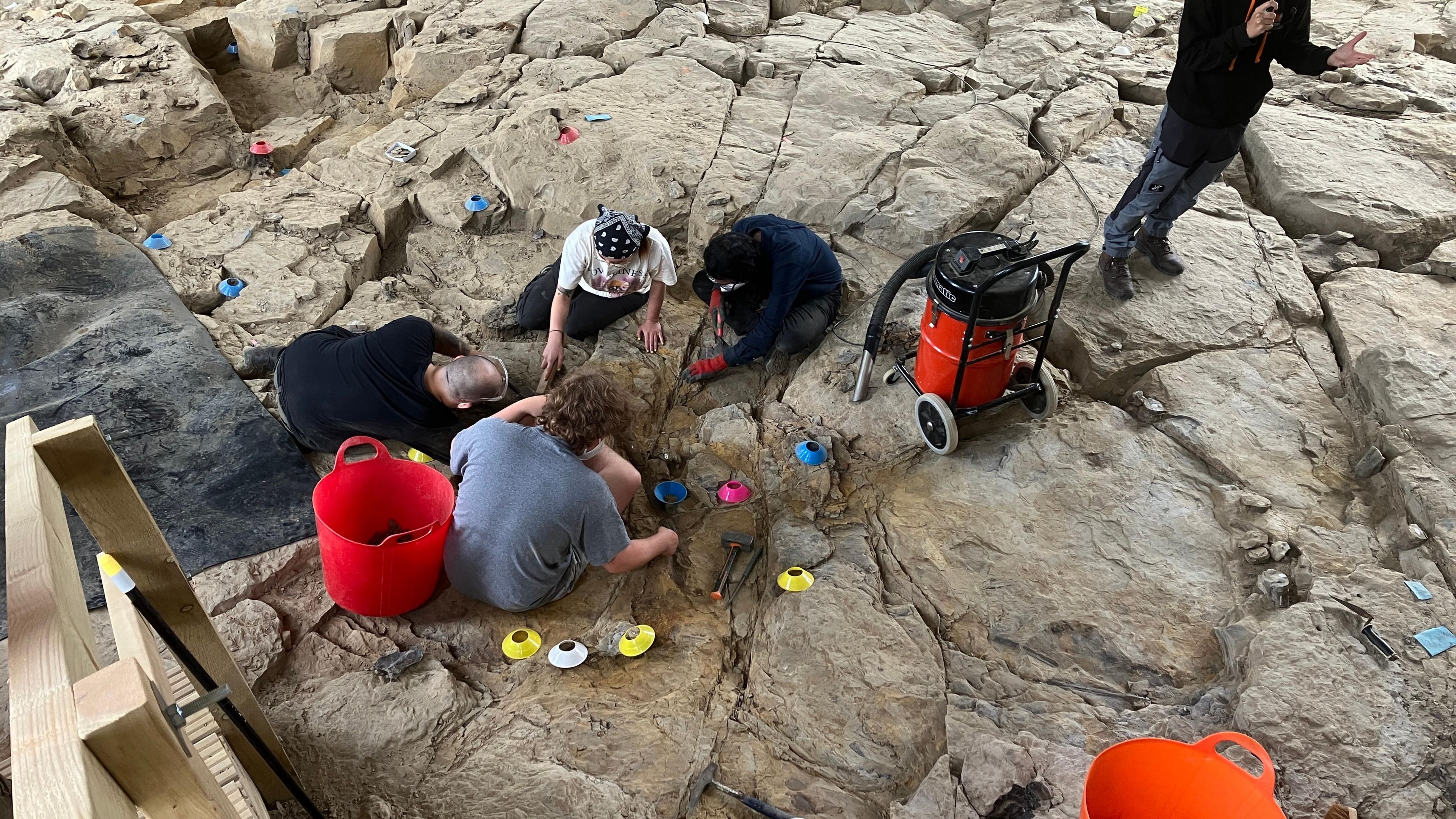 A group of four people sit on the floor of the rocky archaeology site in Brymbo. They all have their heads away from the camera and look at the stoens on the ground. A henry hoover can be seen on wheels next to them, along with red plastic buckets. Another man can be seen stood up on the rock. 