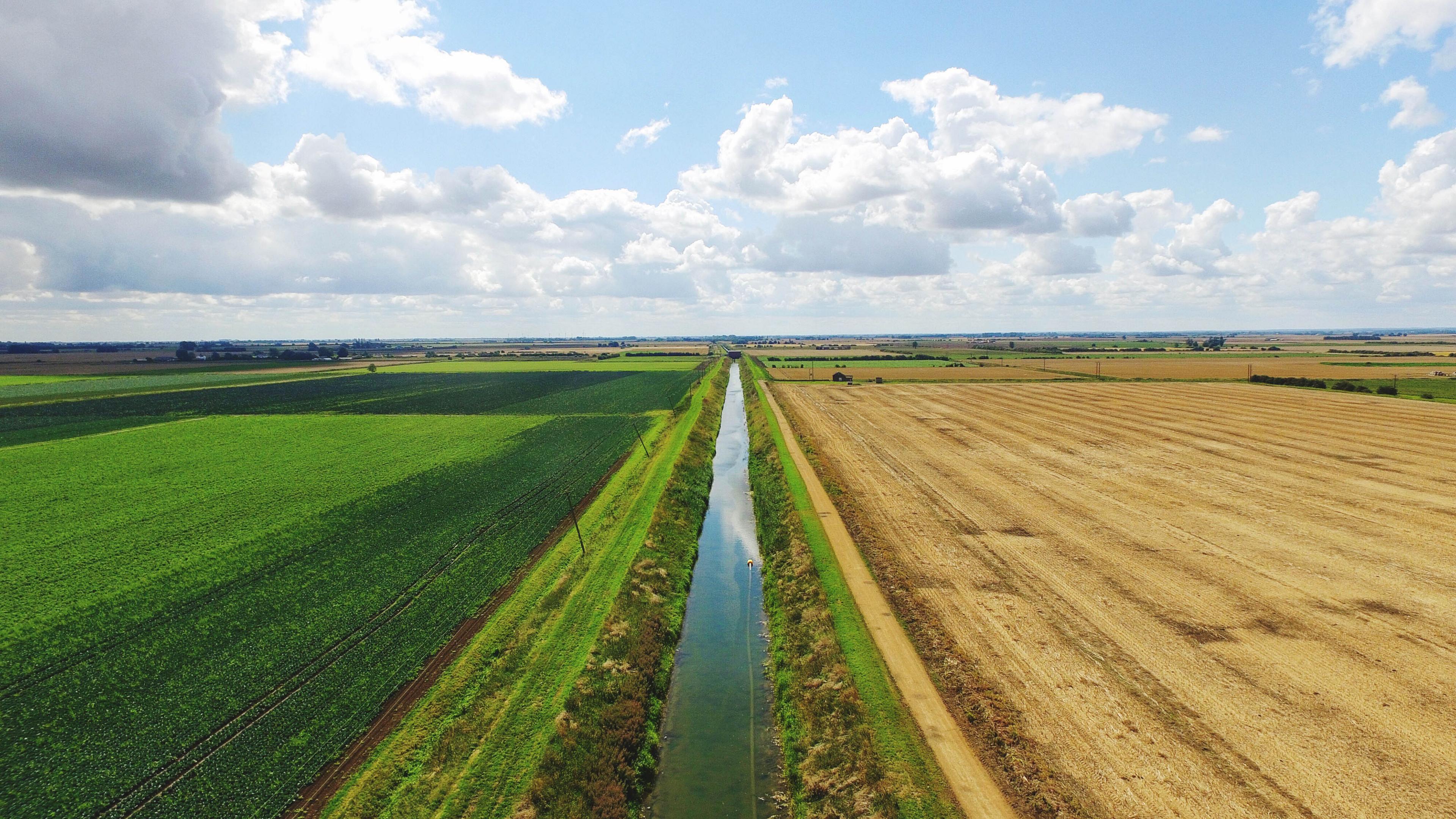 A photograph showing a treeless landscape in South Holland, Lincolnshire