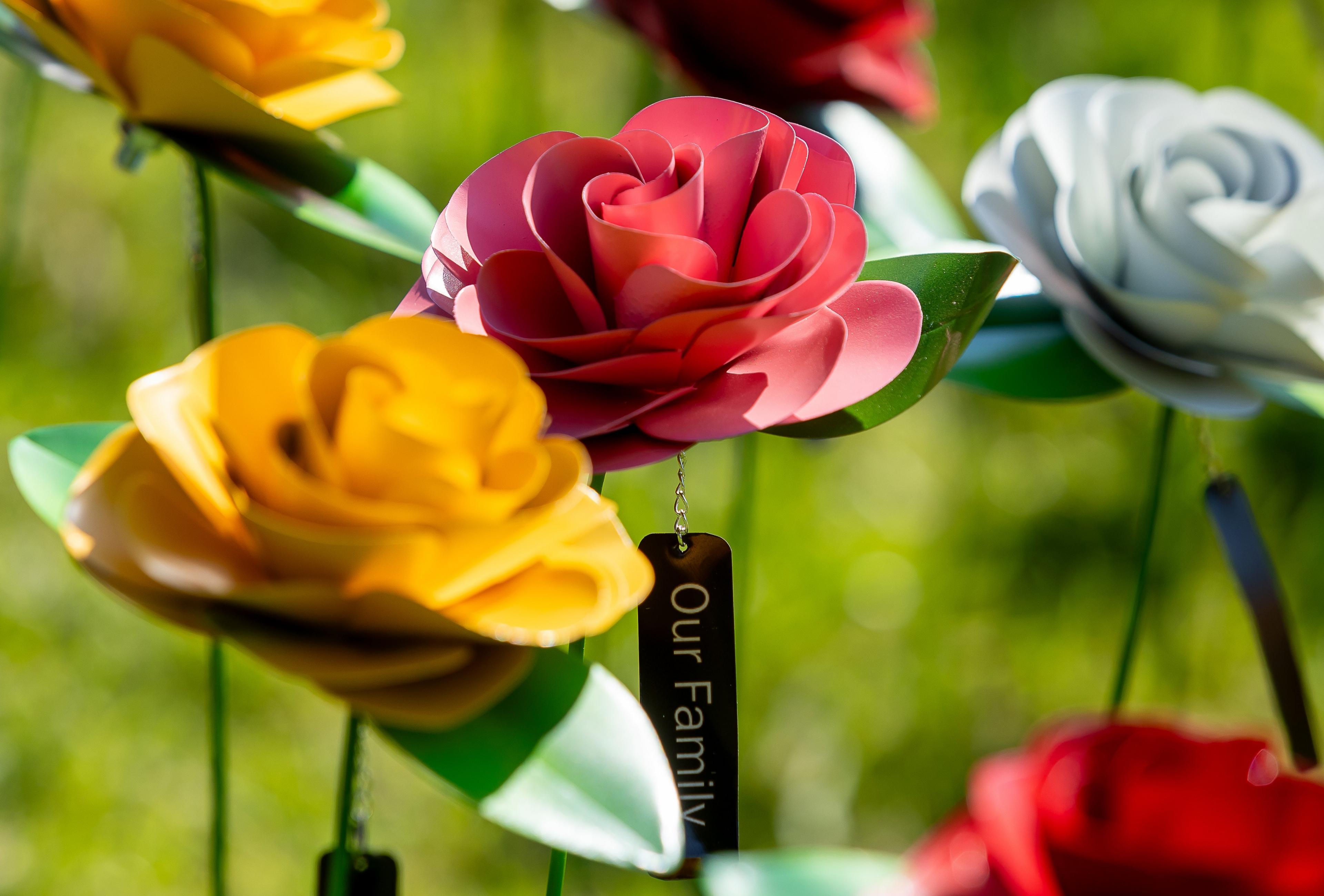 Close up of yellow, pink and white roses with a label saying 'Our Family'