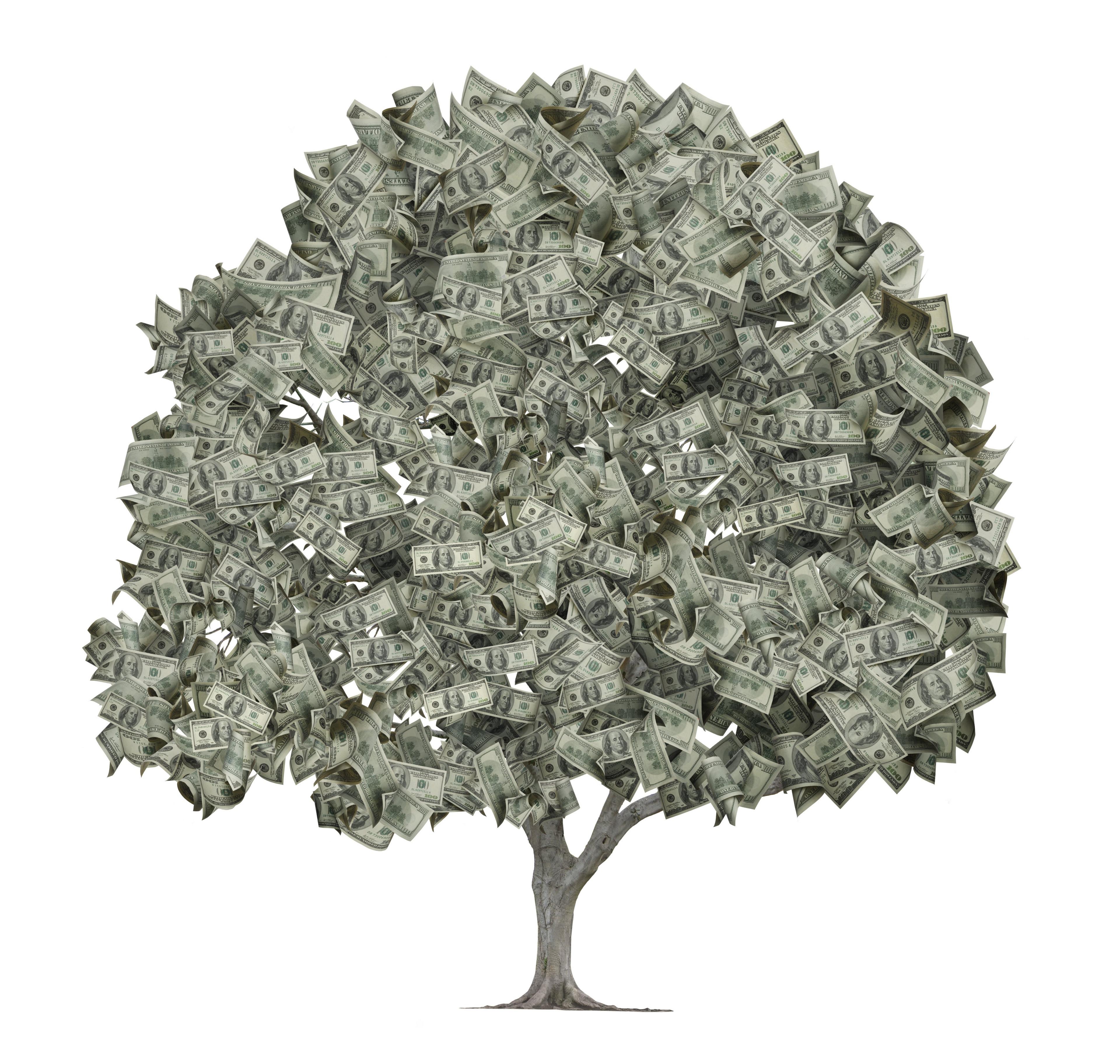 An illustration depicting a money tree