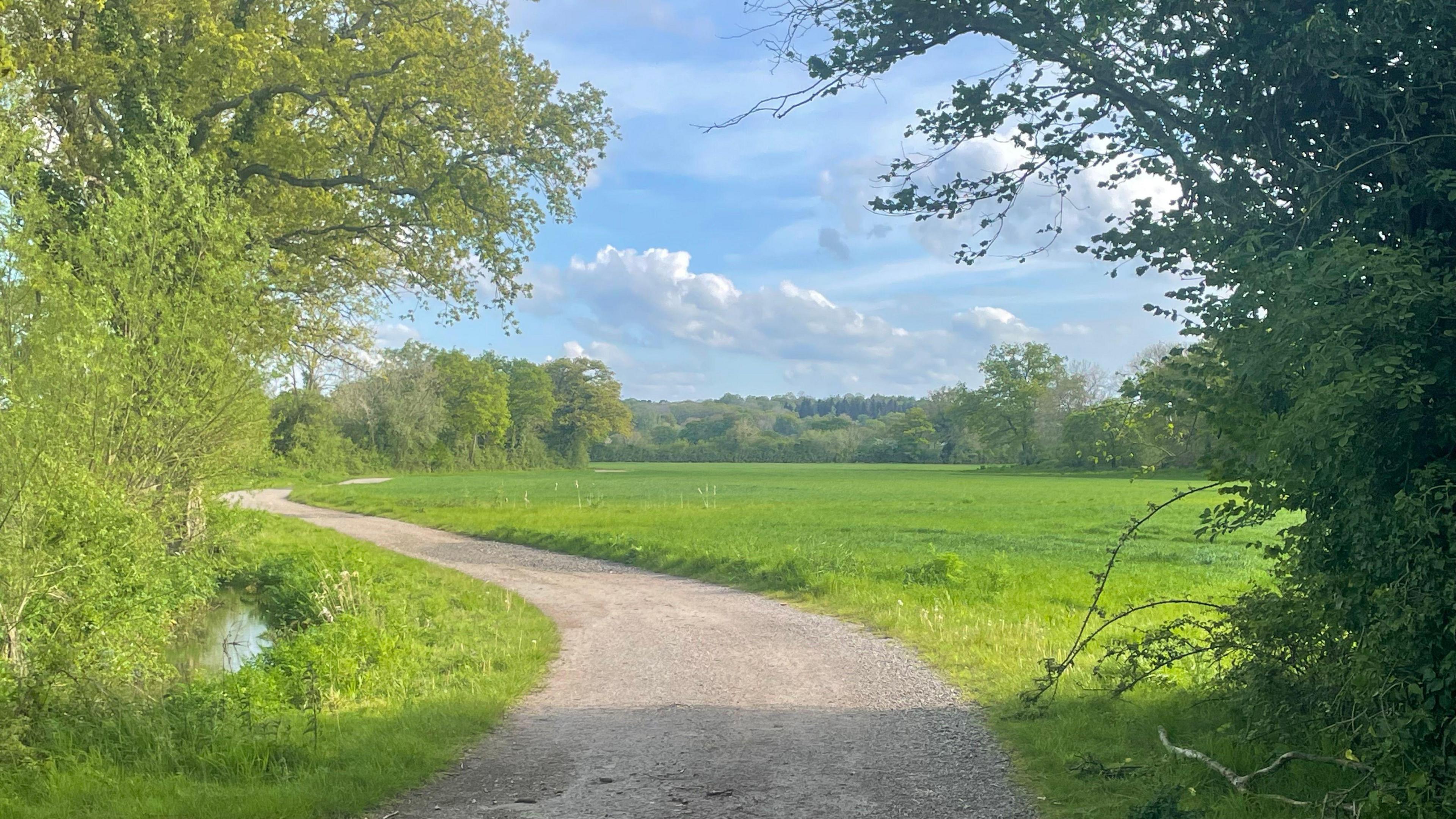 An image of the green fields of tanners farm with trees in the distance