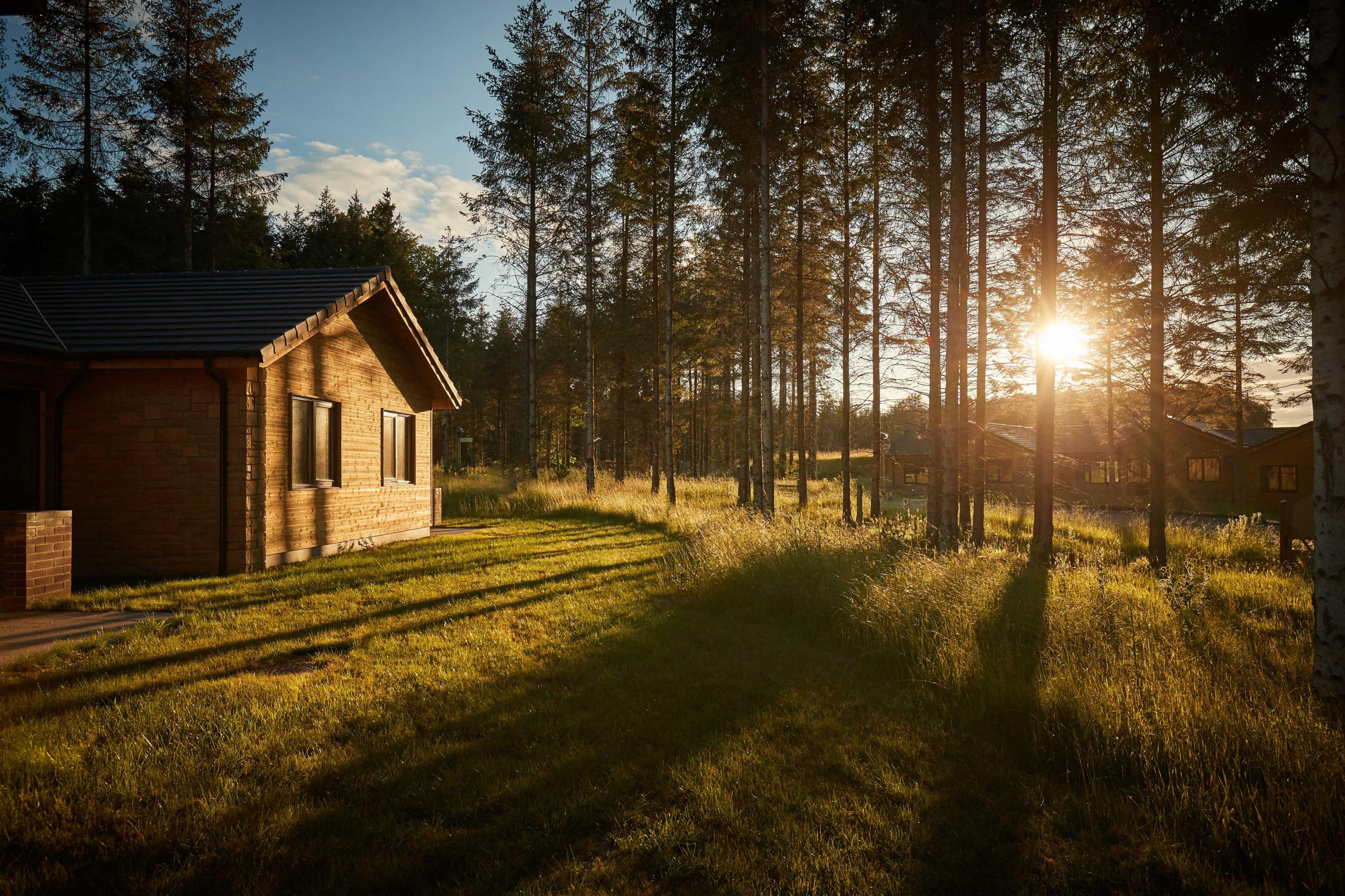 A wooden holiday lodge with the sunlight breaking through surrounding trees and casting shadows across long grass