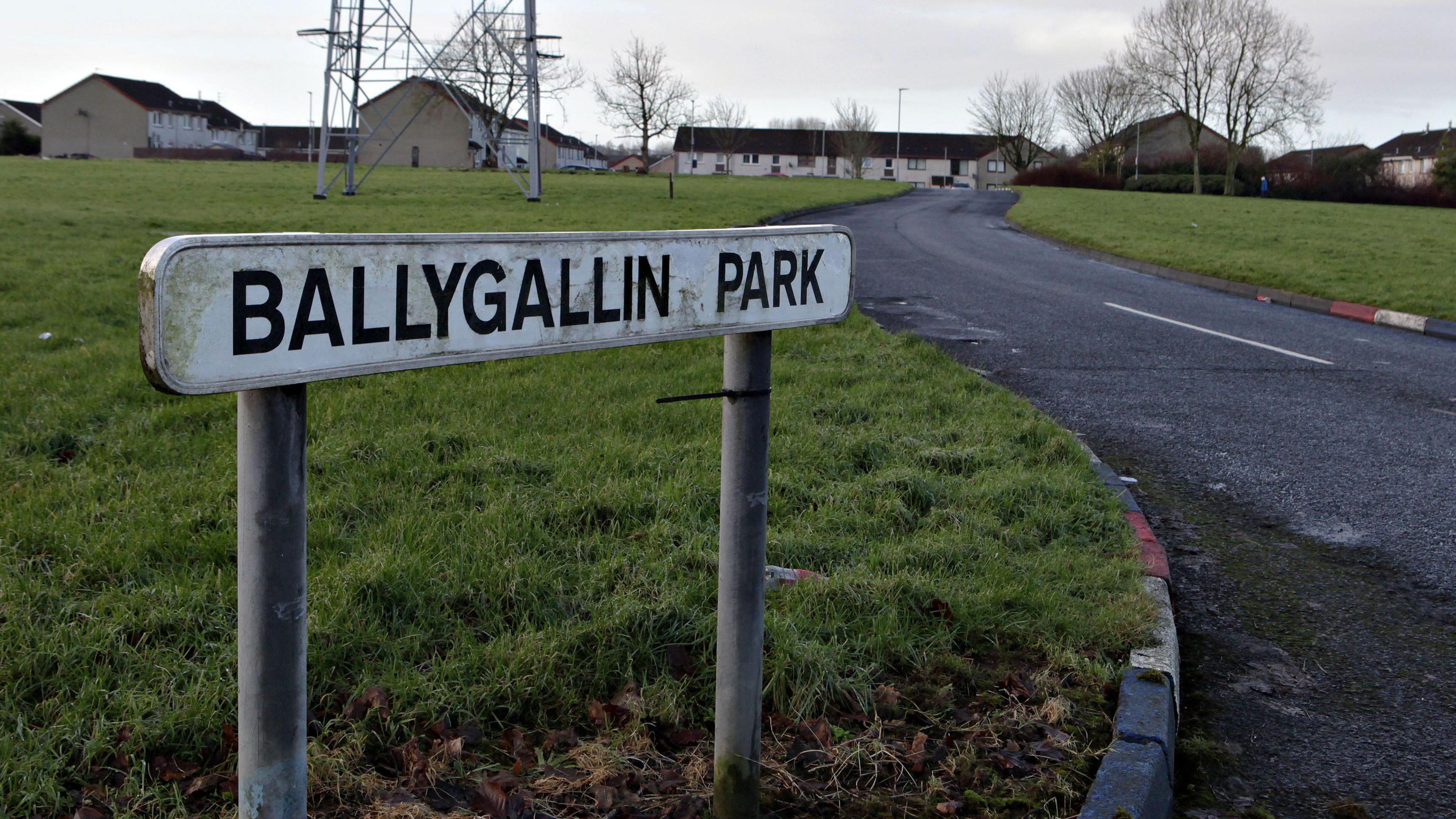 A street sign reading 'Ballygallin Park' near a road and grassy embankments 