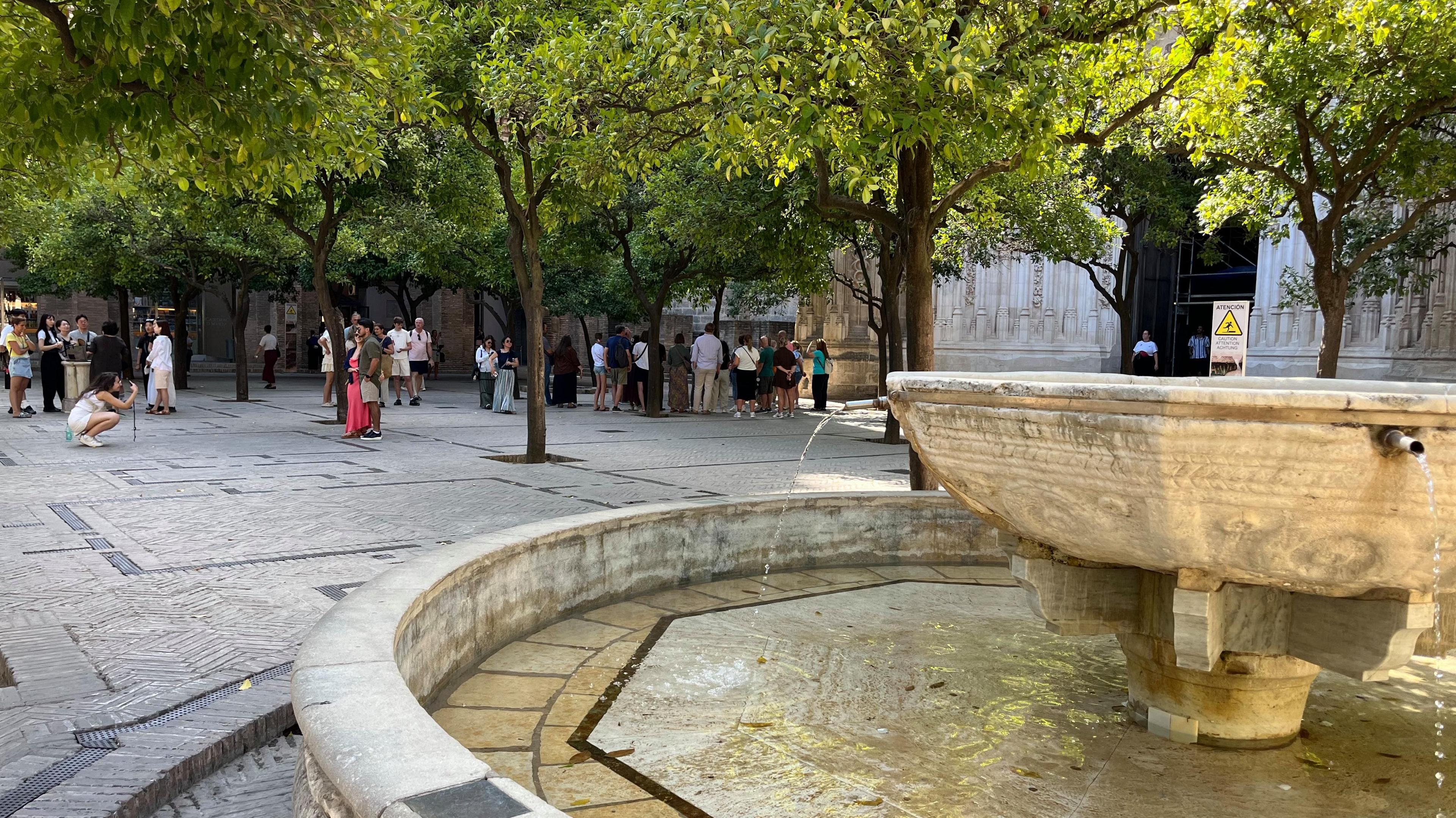 A fountain is in front of a number of trees