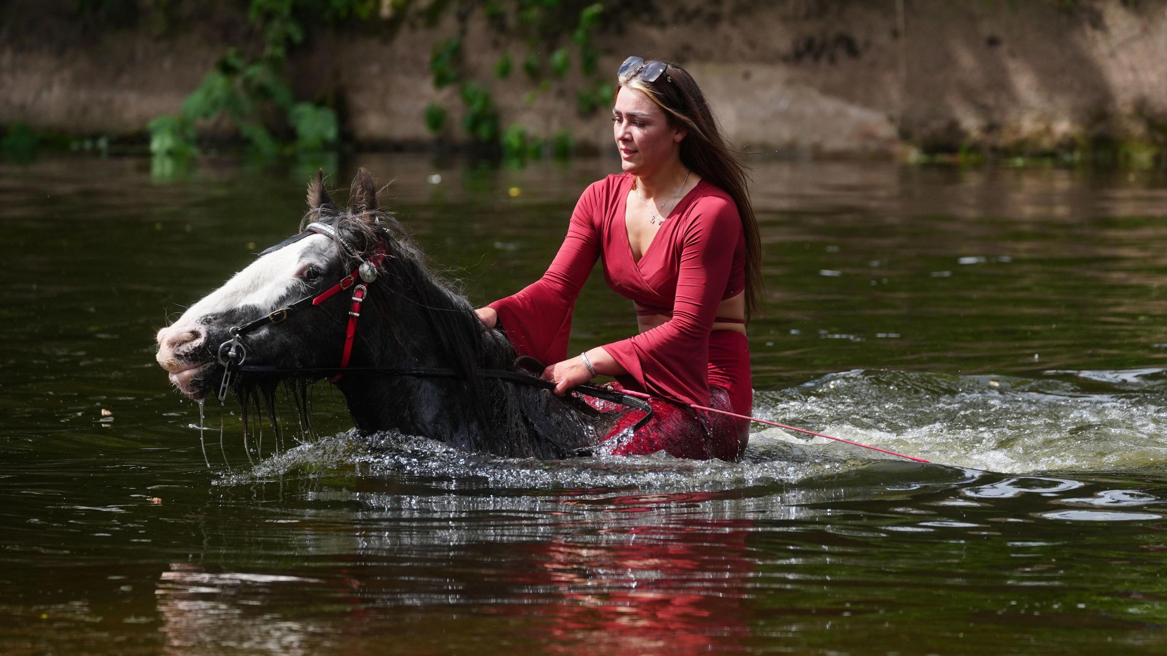 A woman rides the horse which is submerged in the River Eden up to its neck. The woman is wearing a red top and has long dark hair.