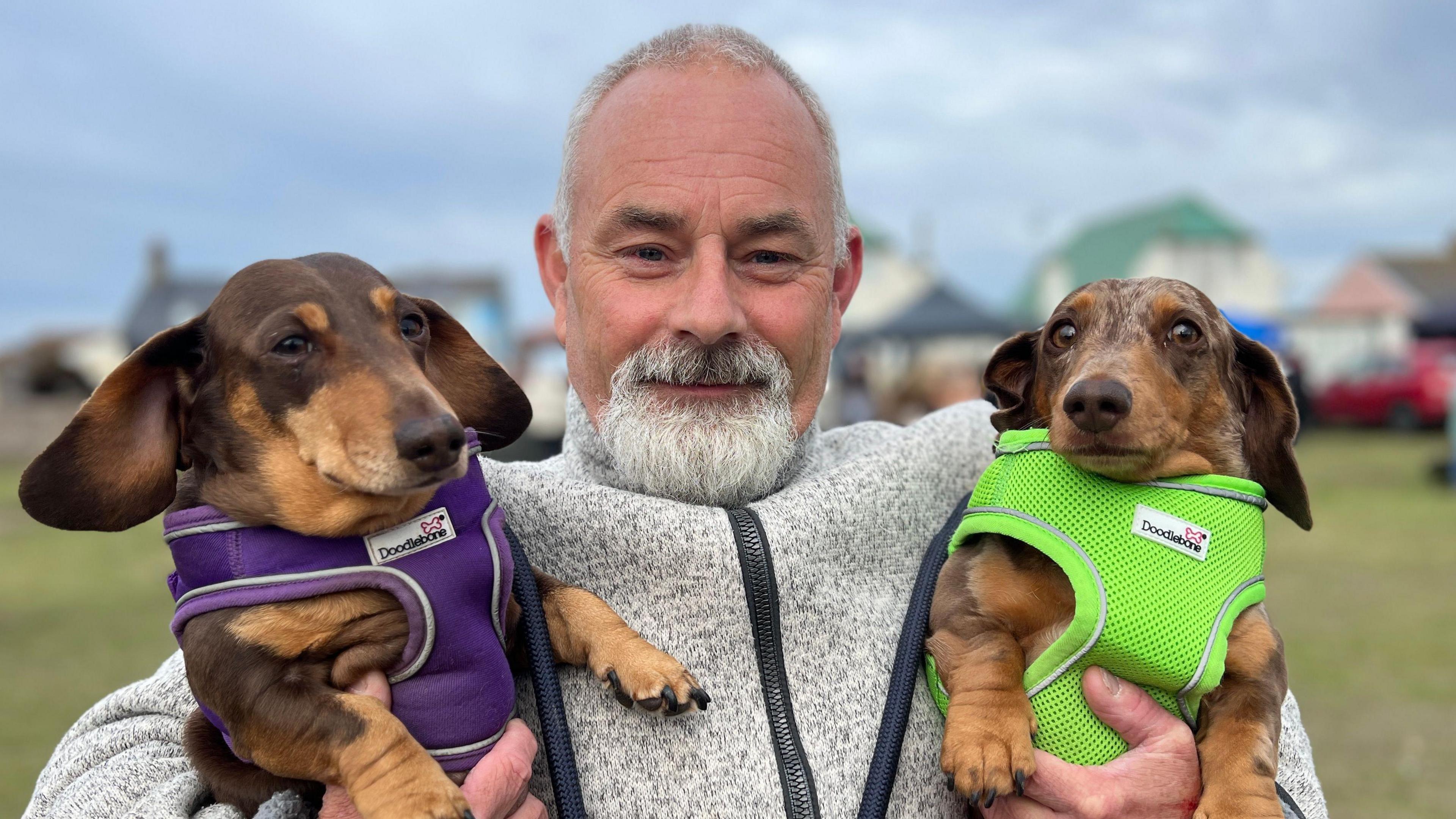 Mike Evans a man with grey hair and a grey beard. He is wearing a grey zip up pullover and is holding two sausage dogs. The brown dog on the left is wearing a purple harness and the dog on the right is wearing a lime neon green harness. 