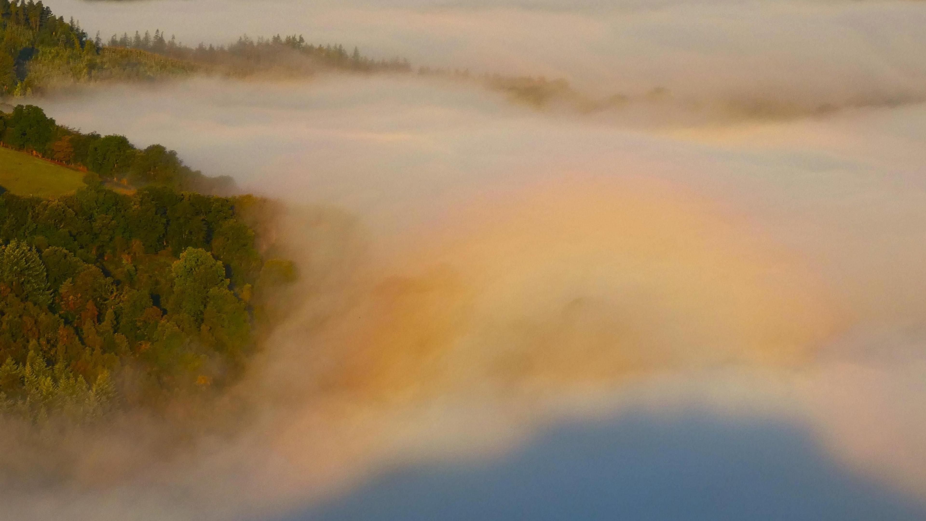 A large tree-lined and fog-filled valley with a shadow and half-halo in the foreground