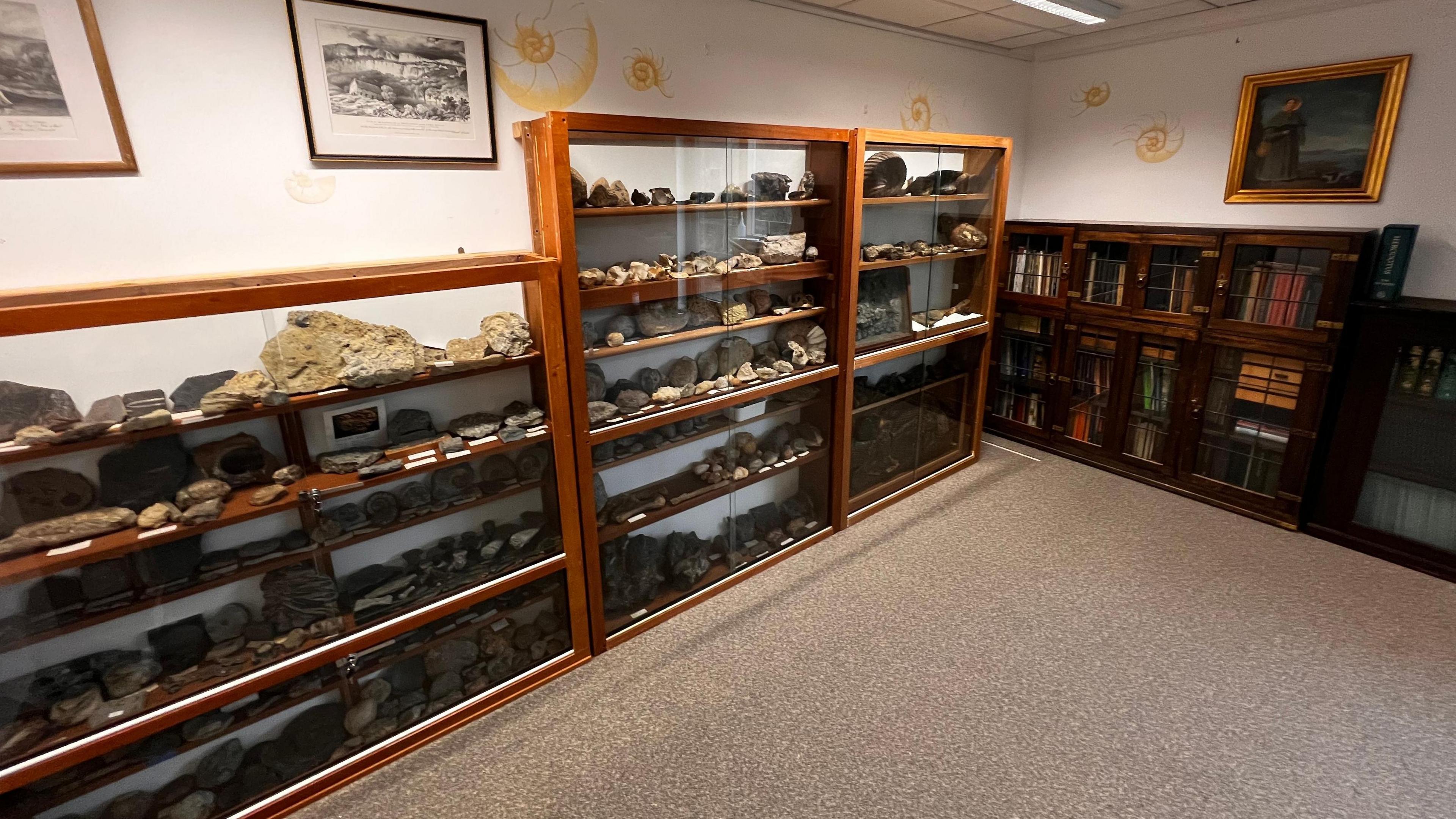 Three large display cases are full  of fossils collected over a lifetime hobby by Leon Garner. There is a also a book case at right angles to the exhibition.