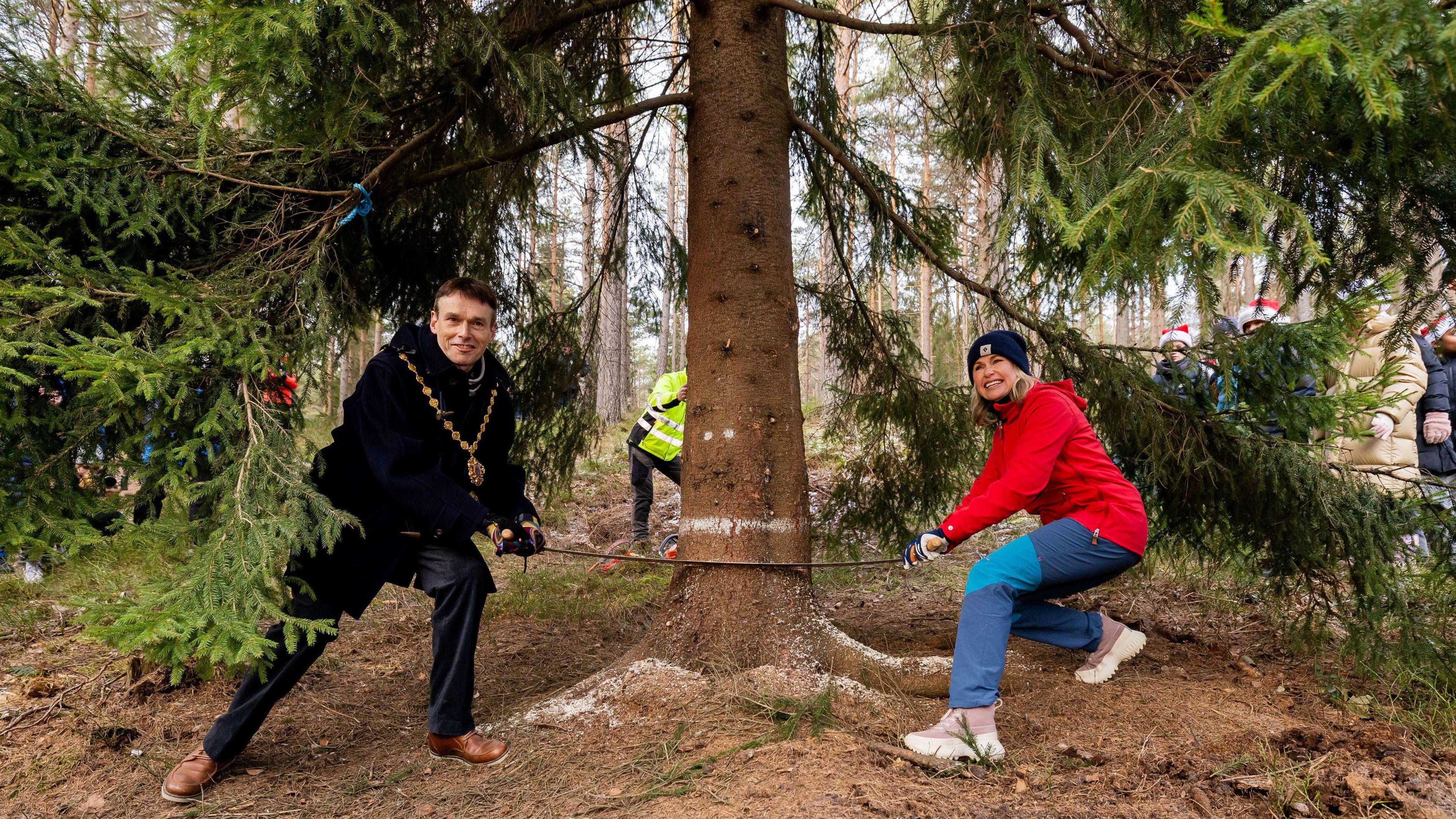 Lord Mayor of Westminster, Cllr Robert Rigby, and Oslo Mayor Anne Lindboe helping to saw the Trafalgar Square Christmas tree in Oslo