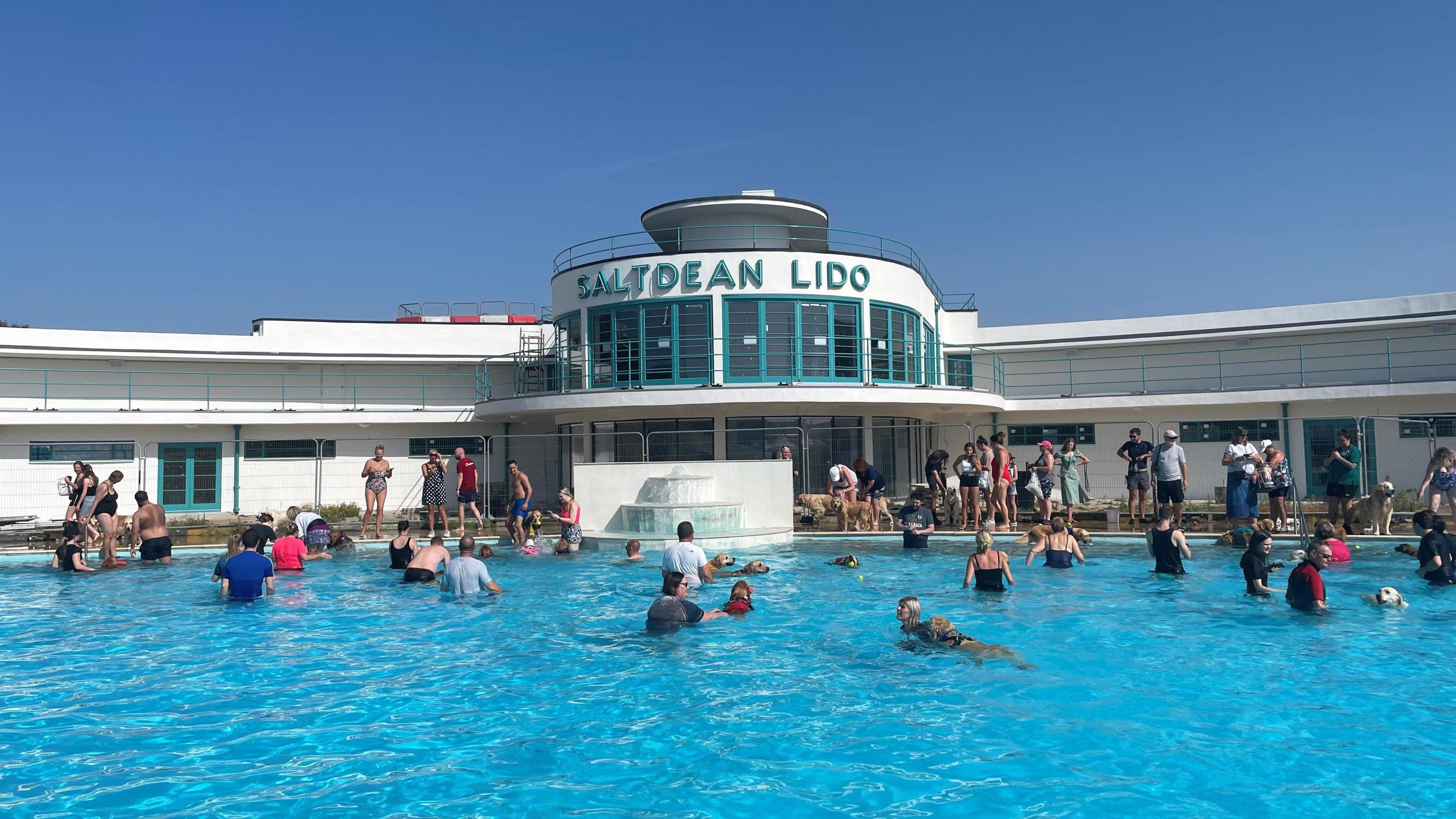 Saltdean lido pool has dog and their owners swimming in it with the white art deco building in the background. The sky is blue and people are standing around the edge of the water.