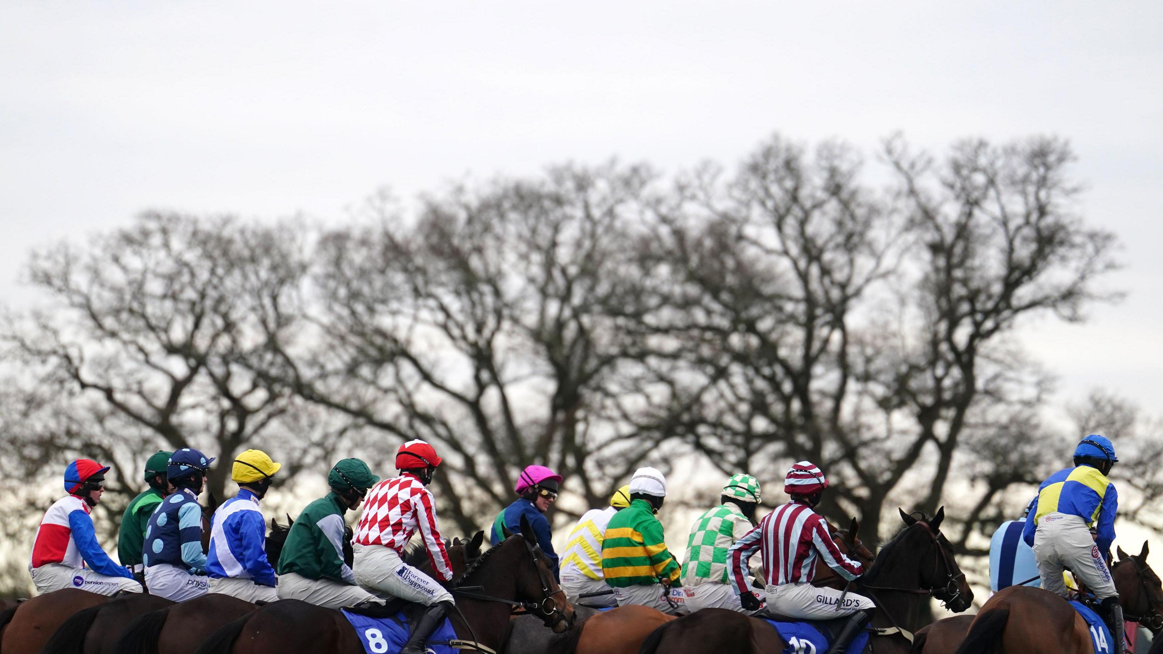 Jockeys are sitting on horses in a row. They are seen from the back, all of them are wearing colourful jerseys.